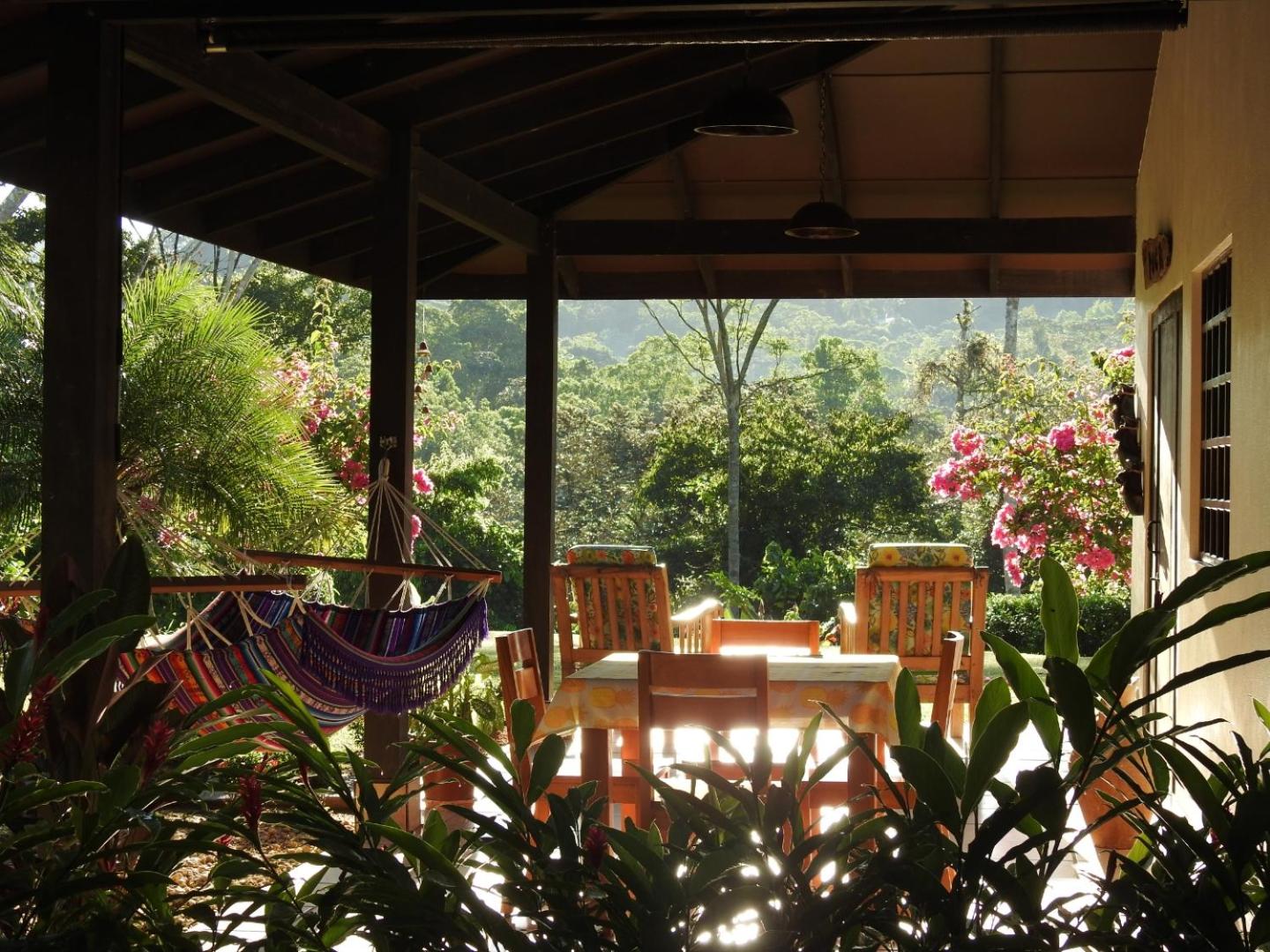 Casas Buenas Brisas