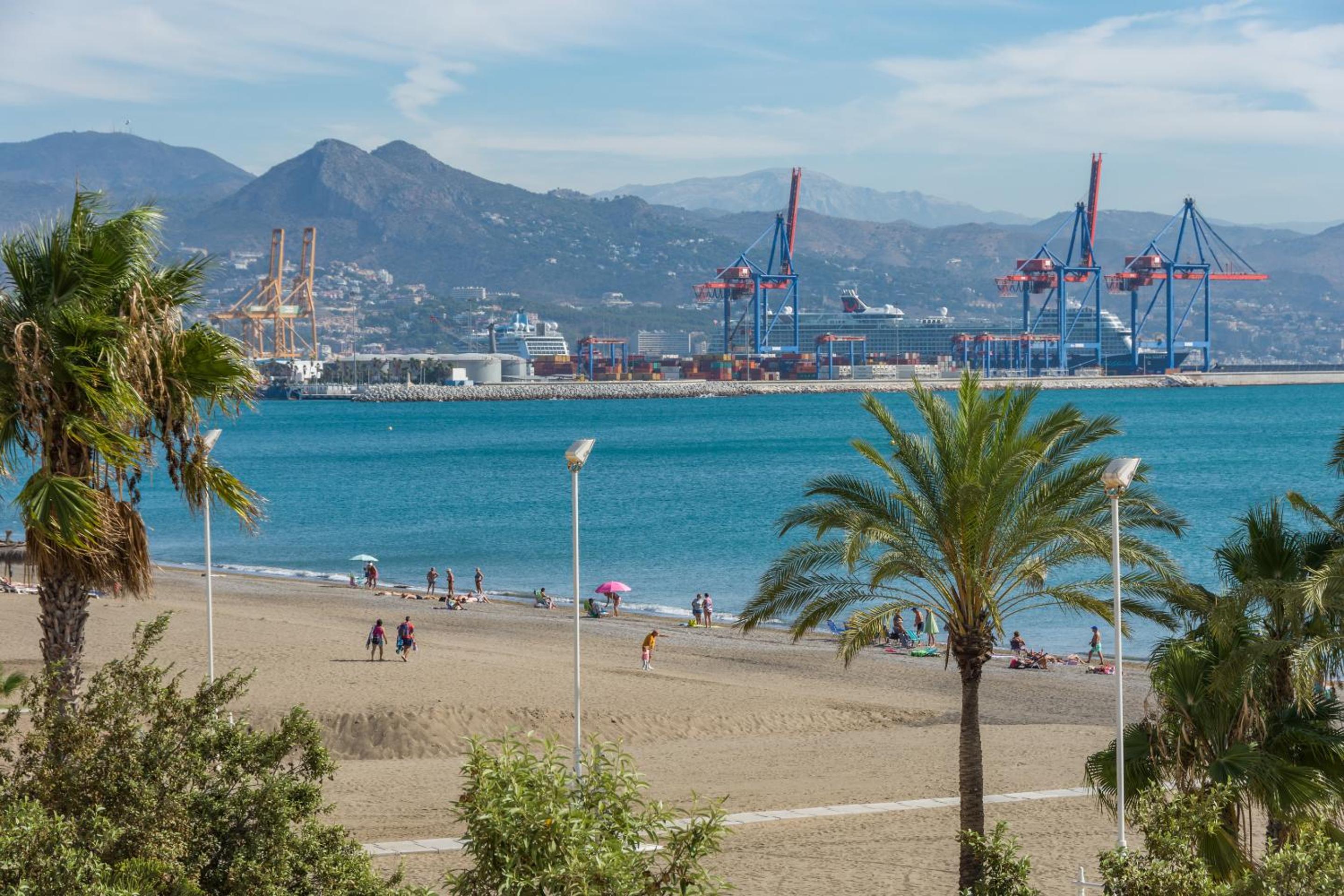 iloftmalaga Pacifico 41
