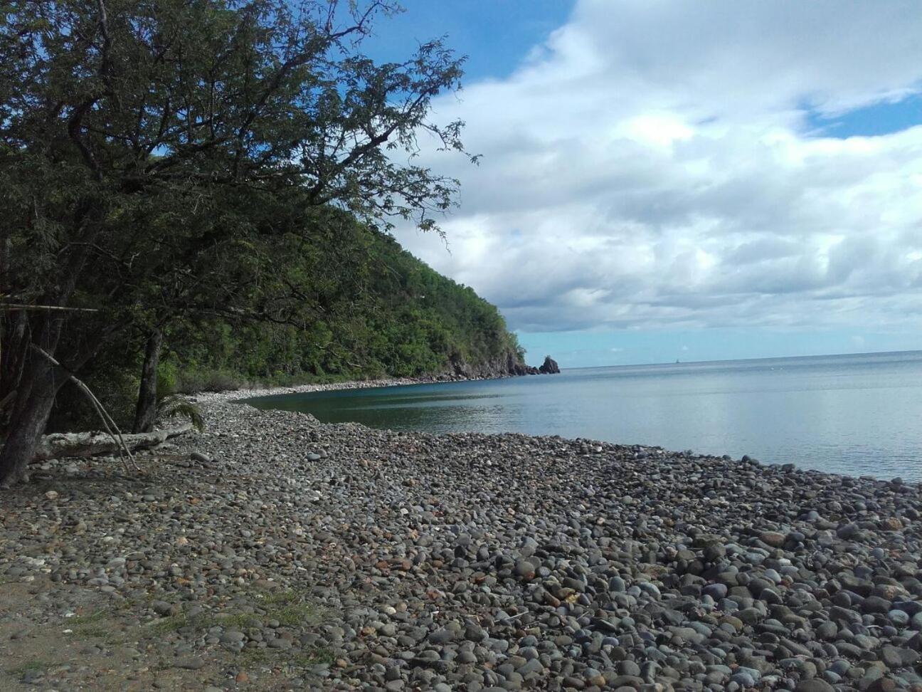 Bungalow PAPAYE