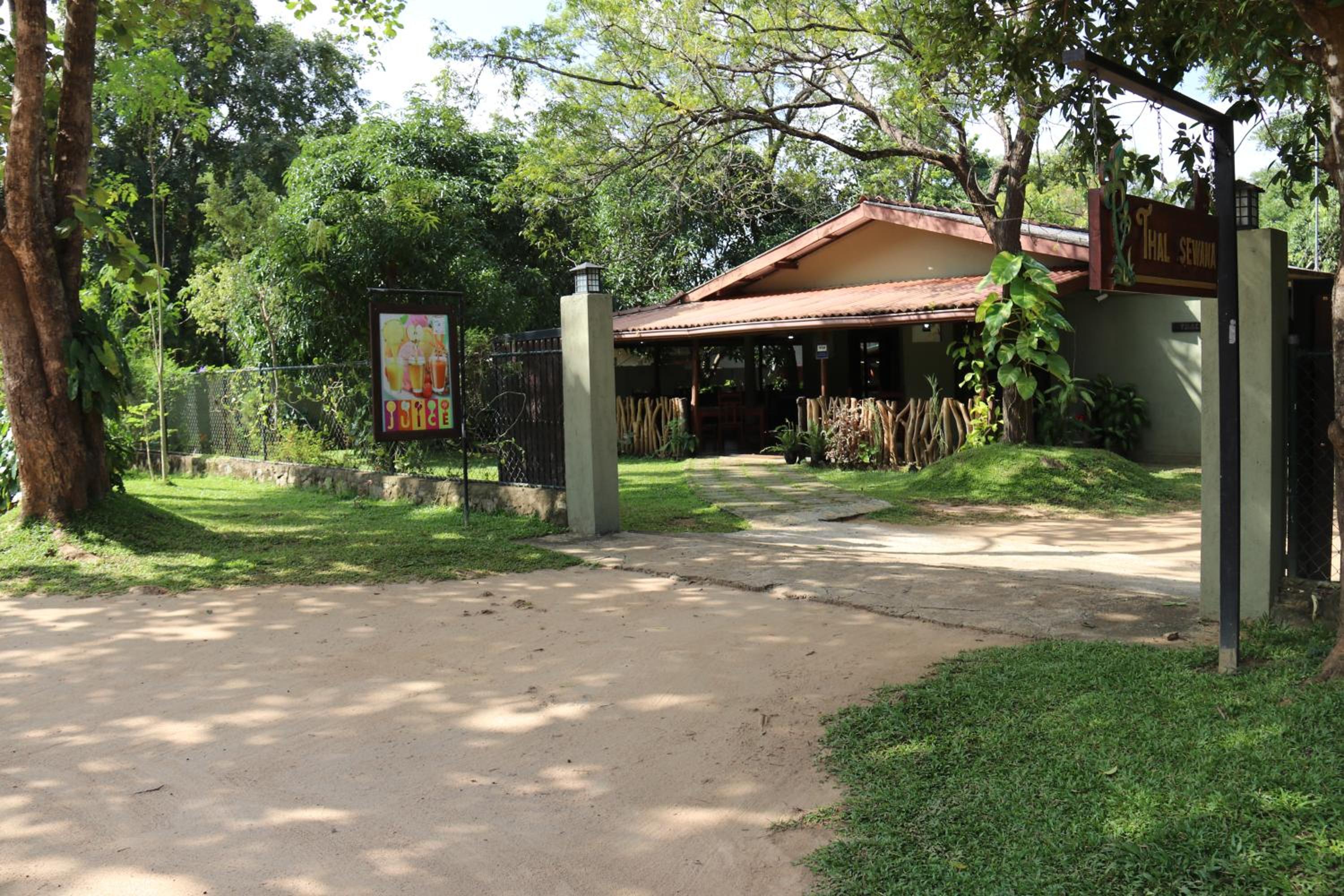 Photo 12