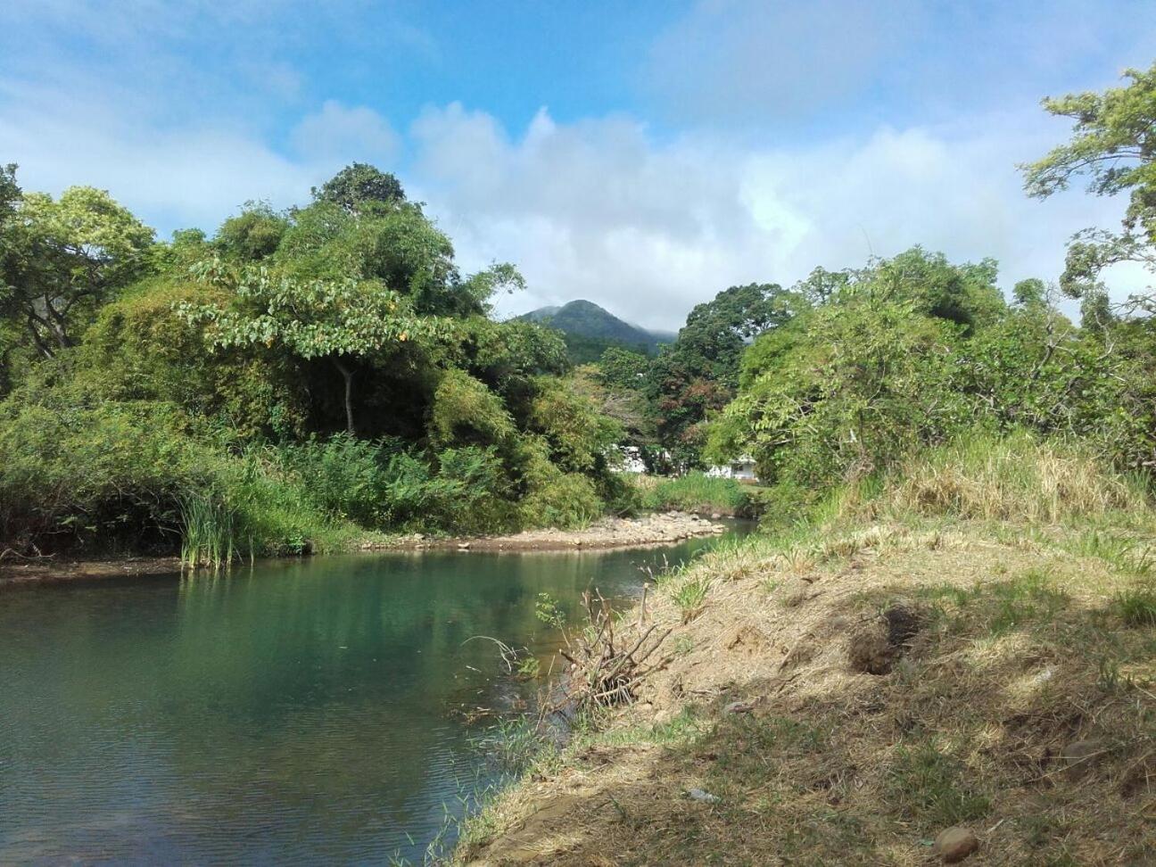 Bungalow PAPAYE