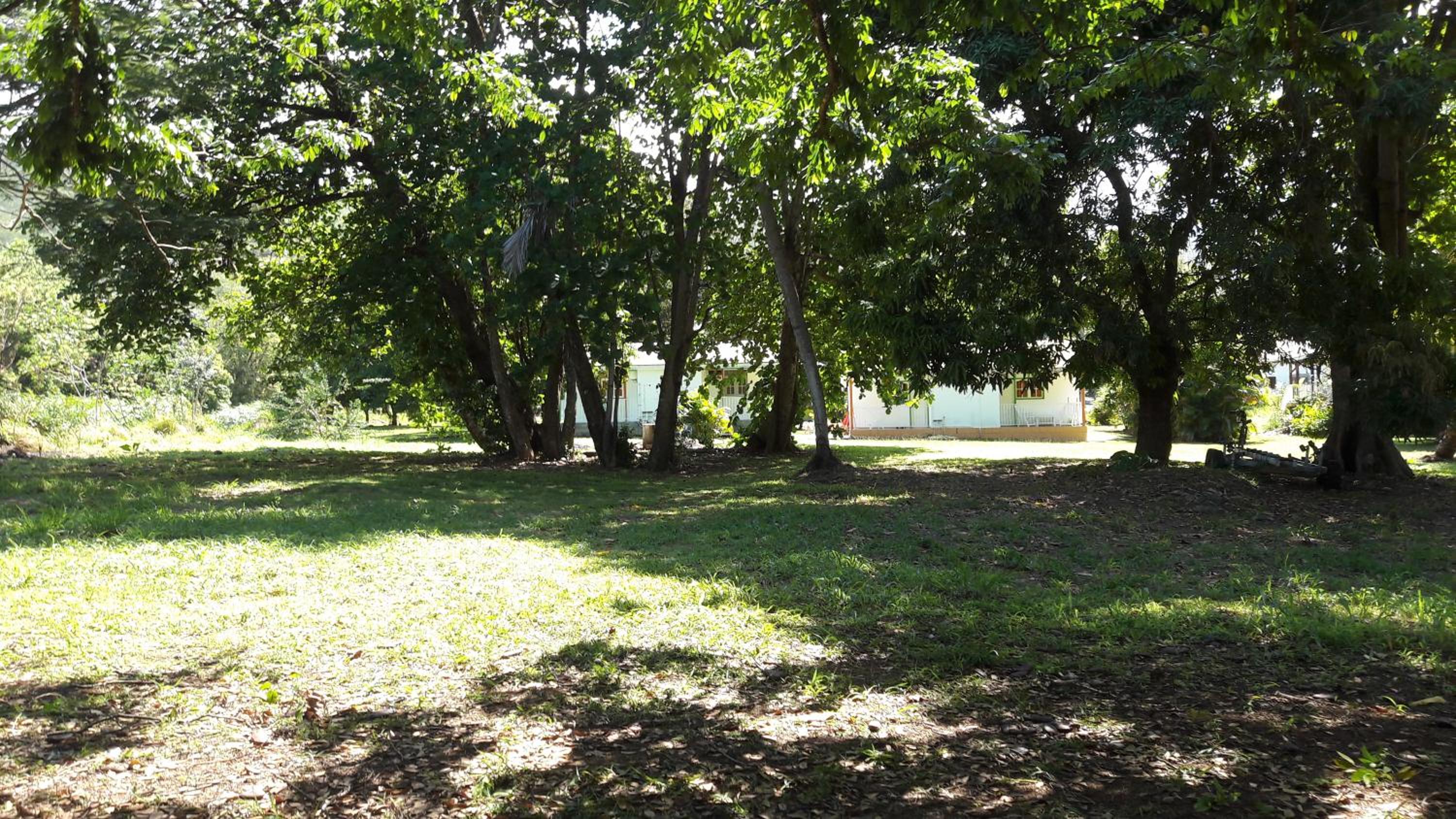 Bungalow PAPAYE
