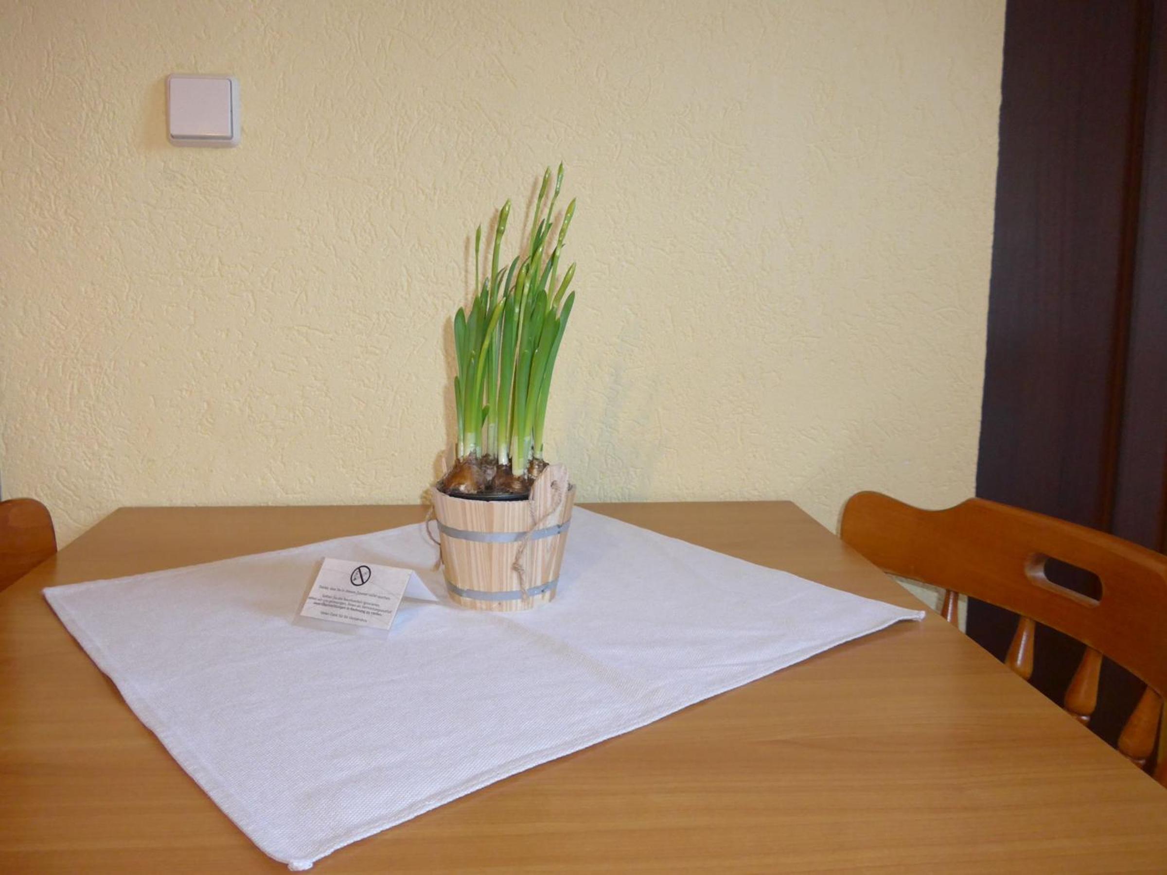 Photo 51