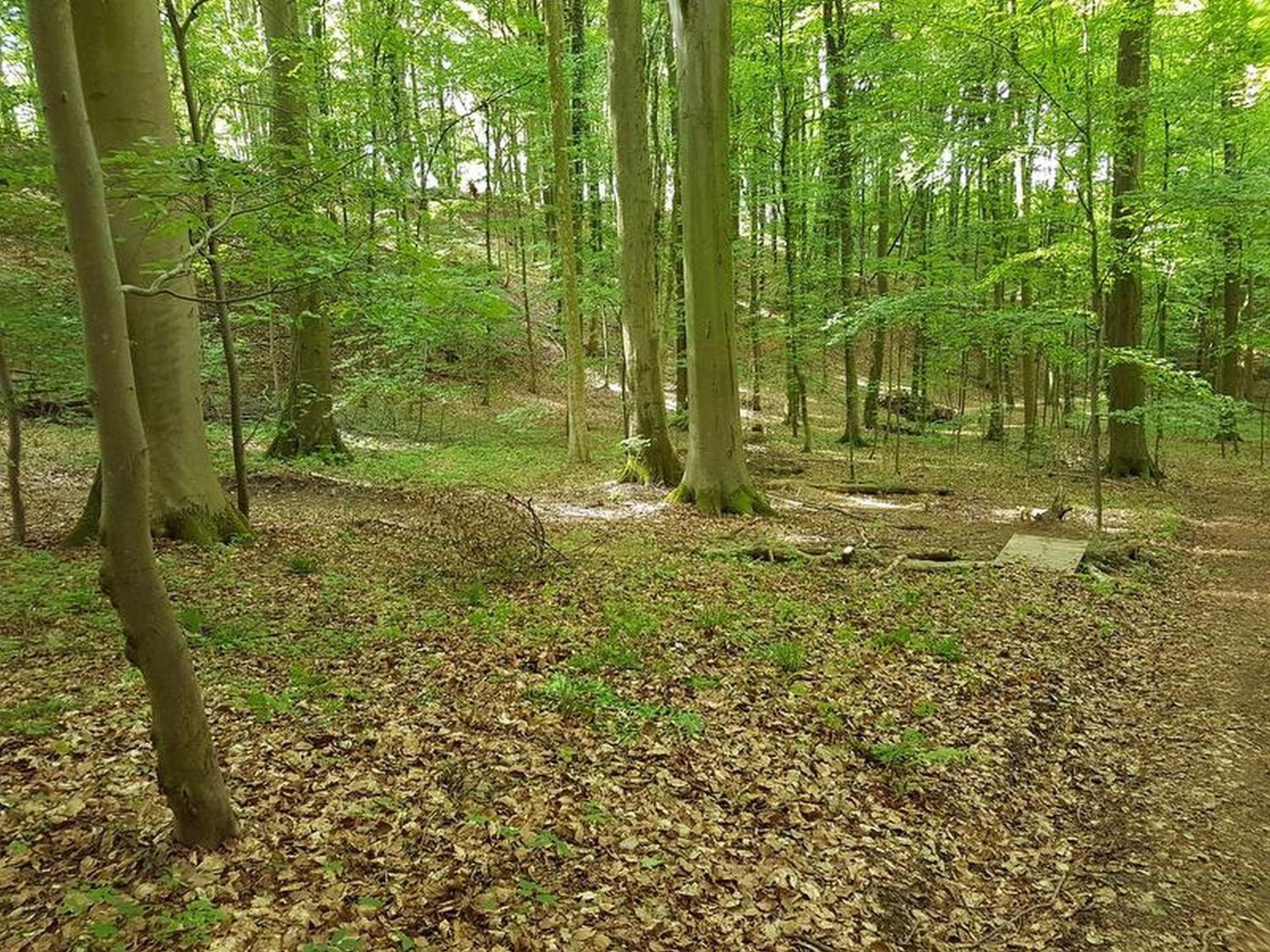 Feriendomizil Bergamini