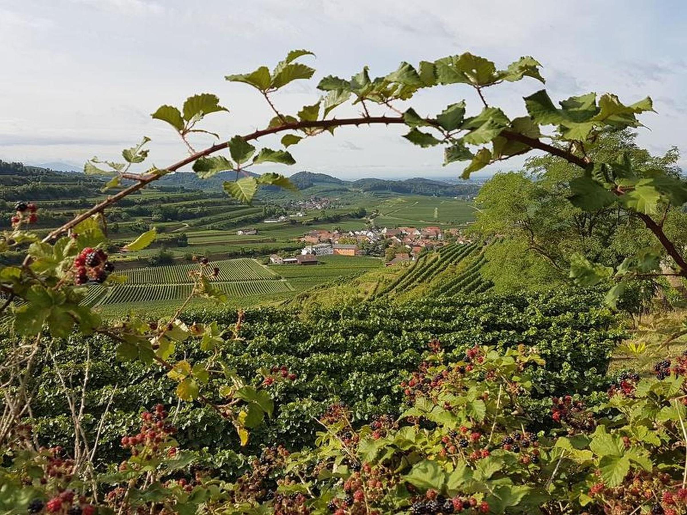 Feriendomizil Bergamini