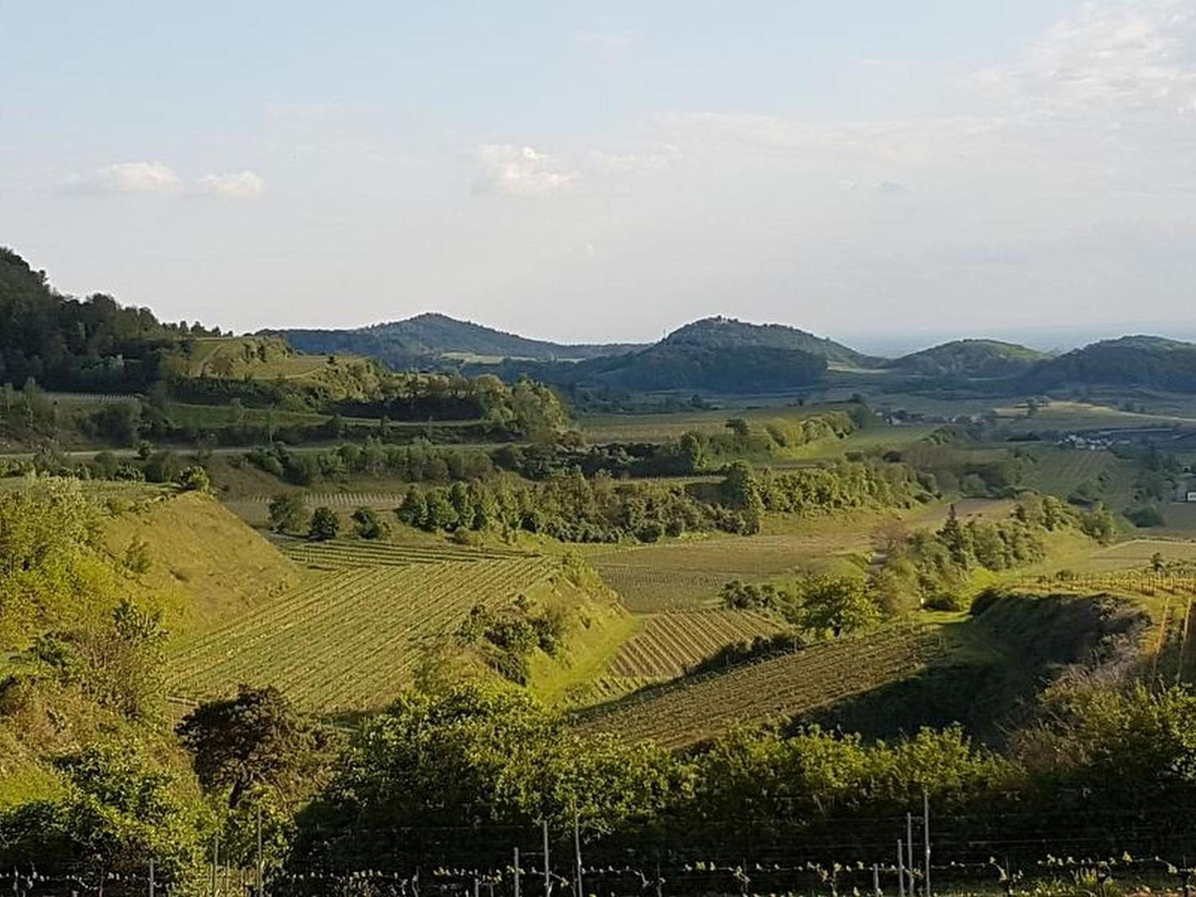 Feriendomizil Bergamini