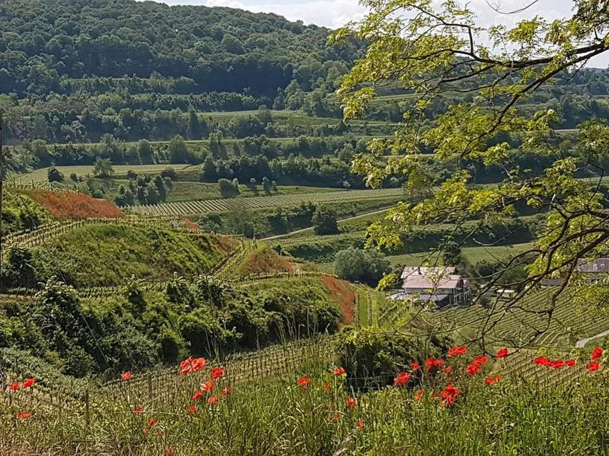 Feriendomizil Bergamini