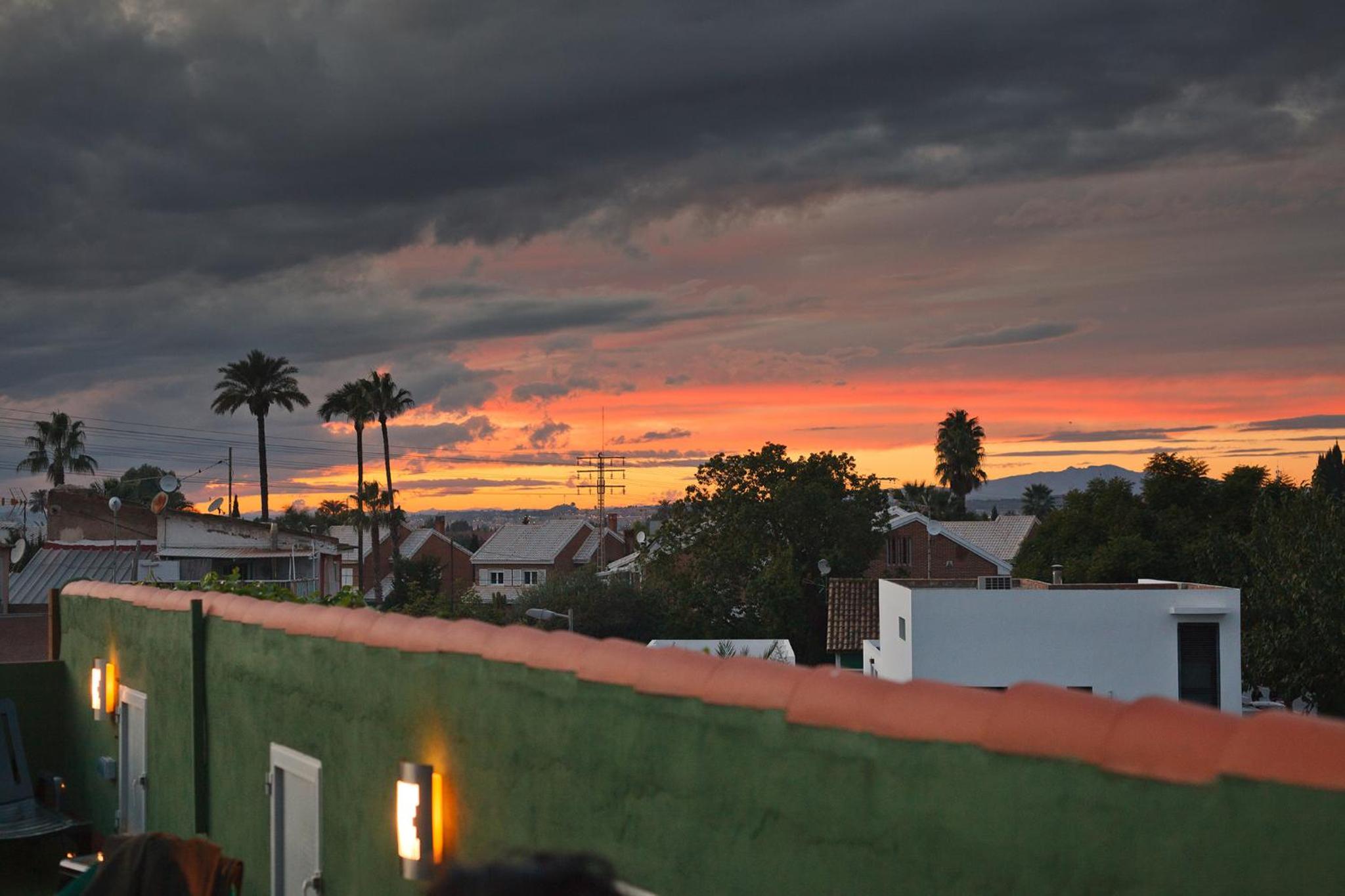 roof