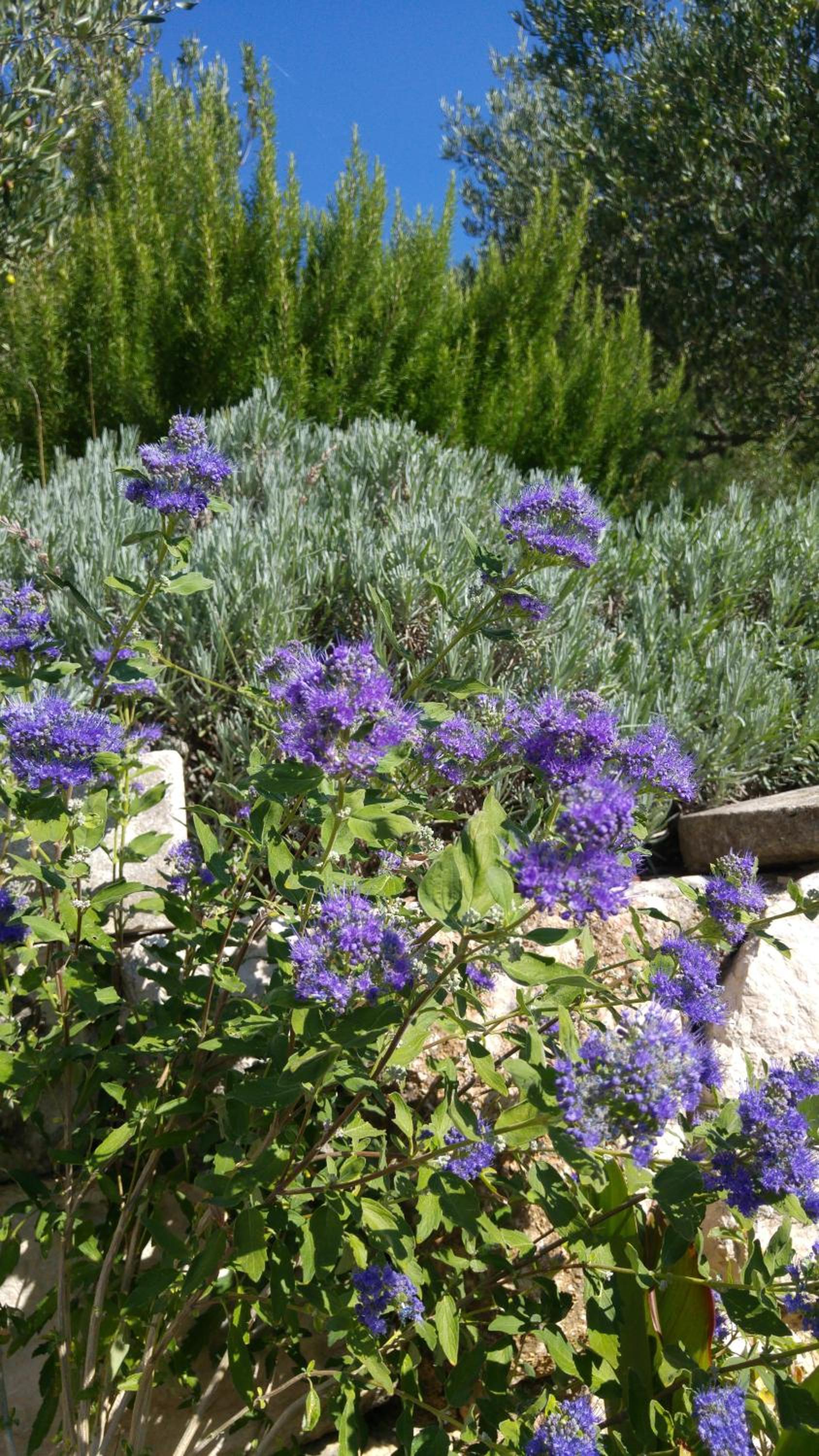 The Art of Mediterranean Living view 4