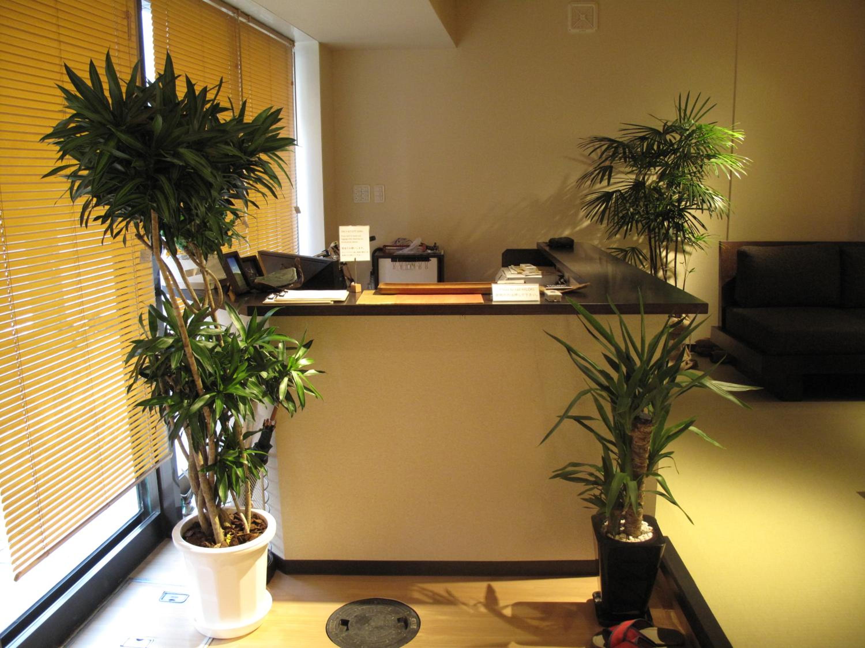 Hilo Hostel