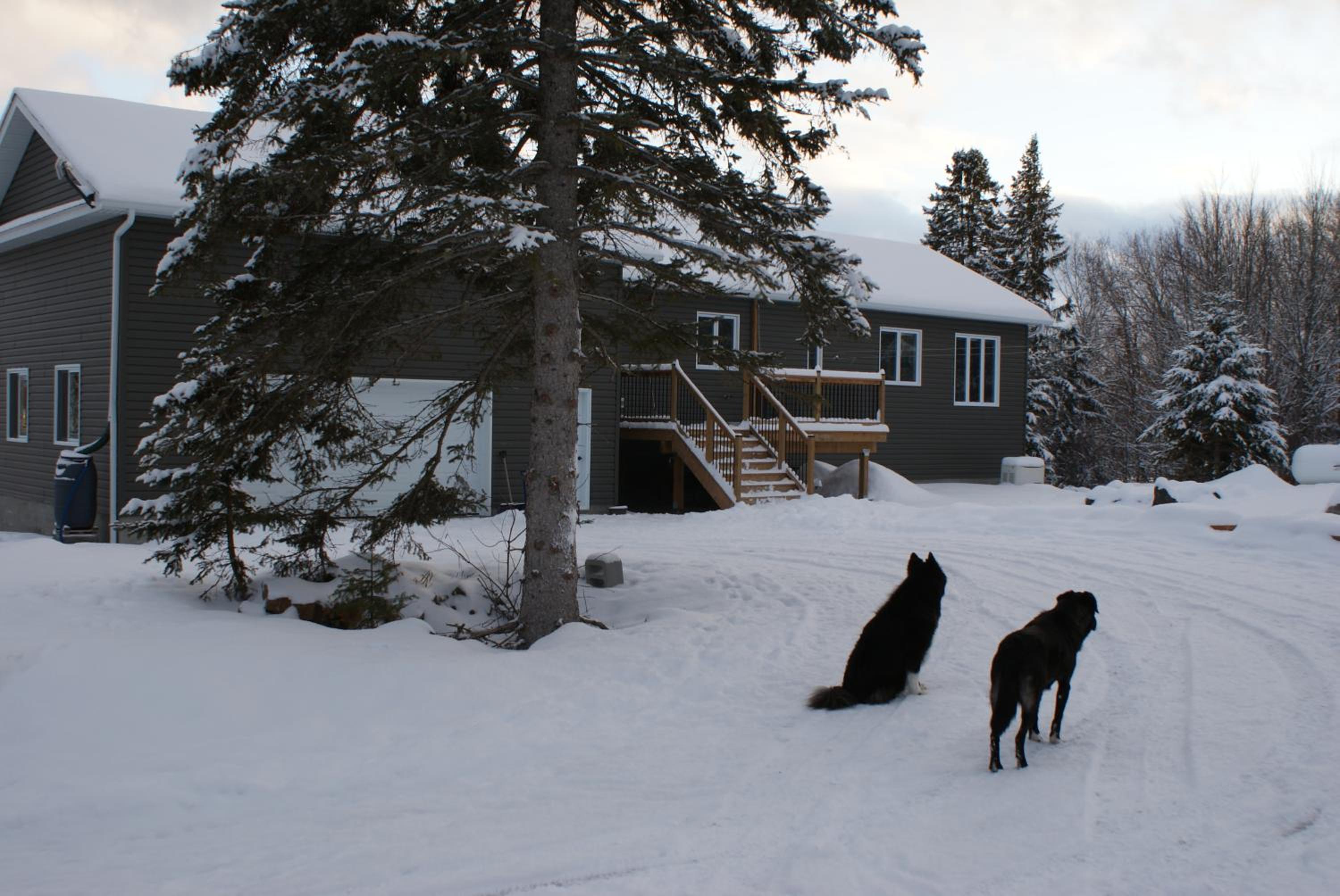 Top of Algonquin Bed and Breakfast