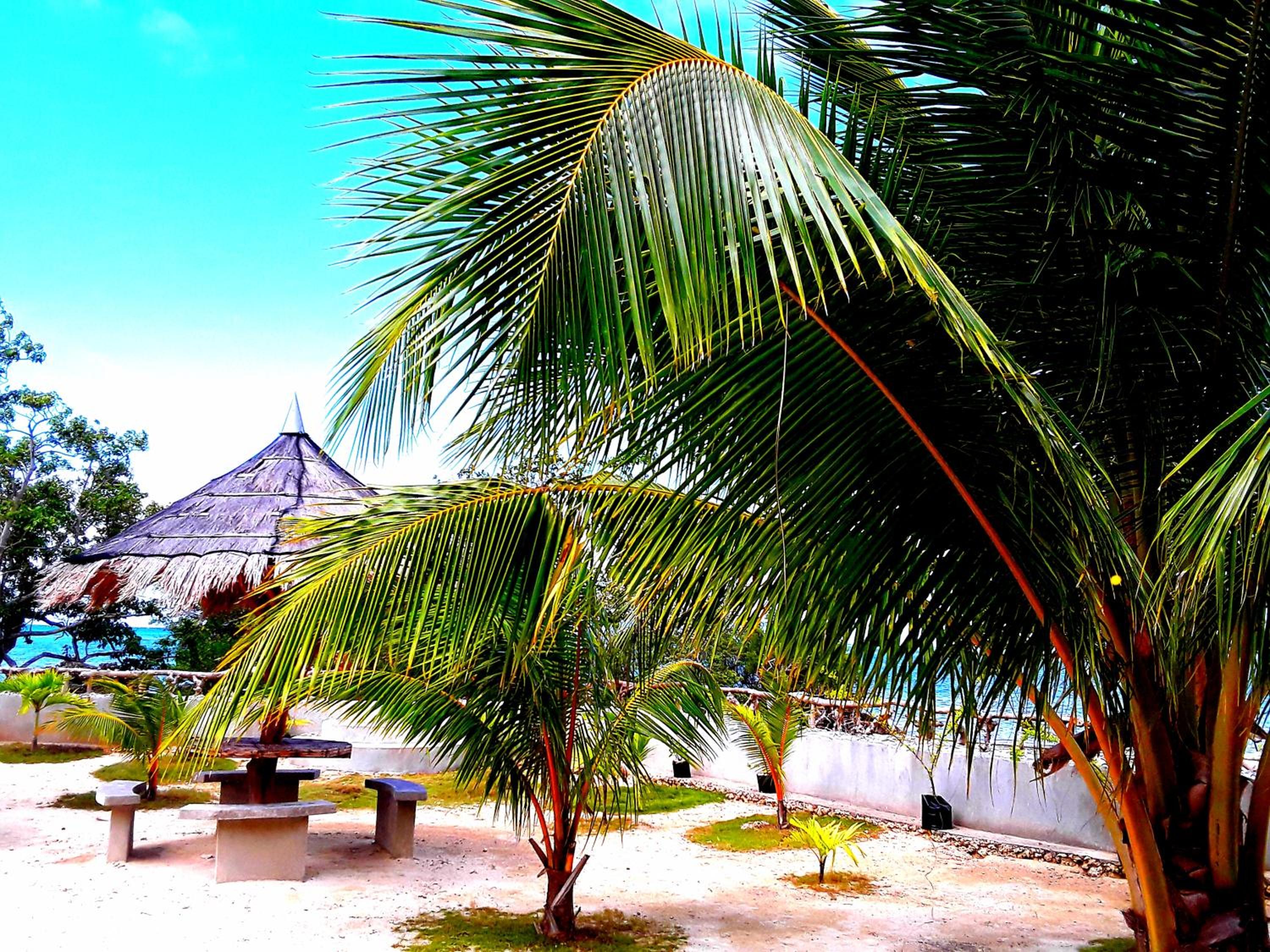 Adayo Cove Resort