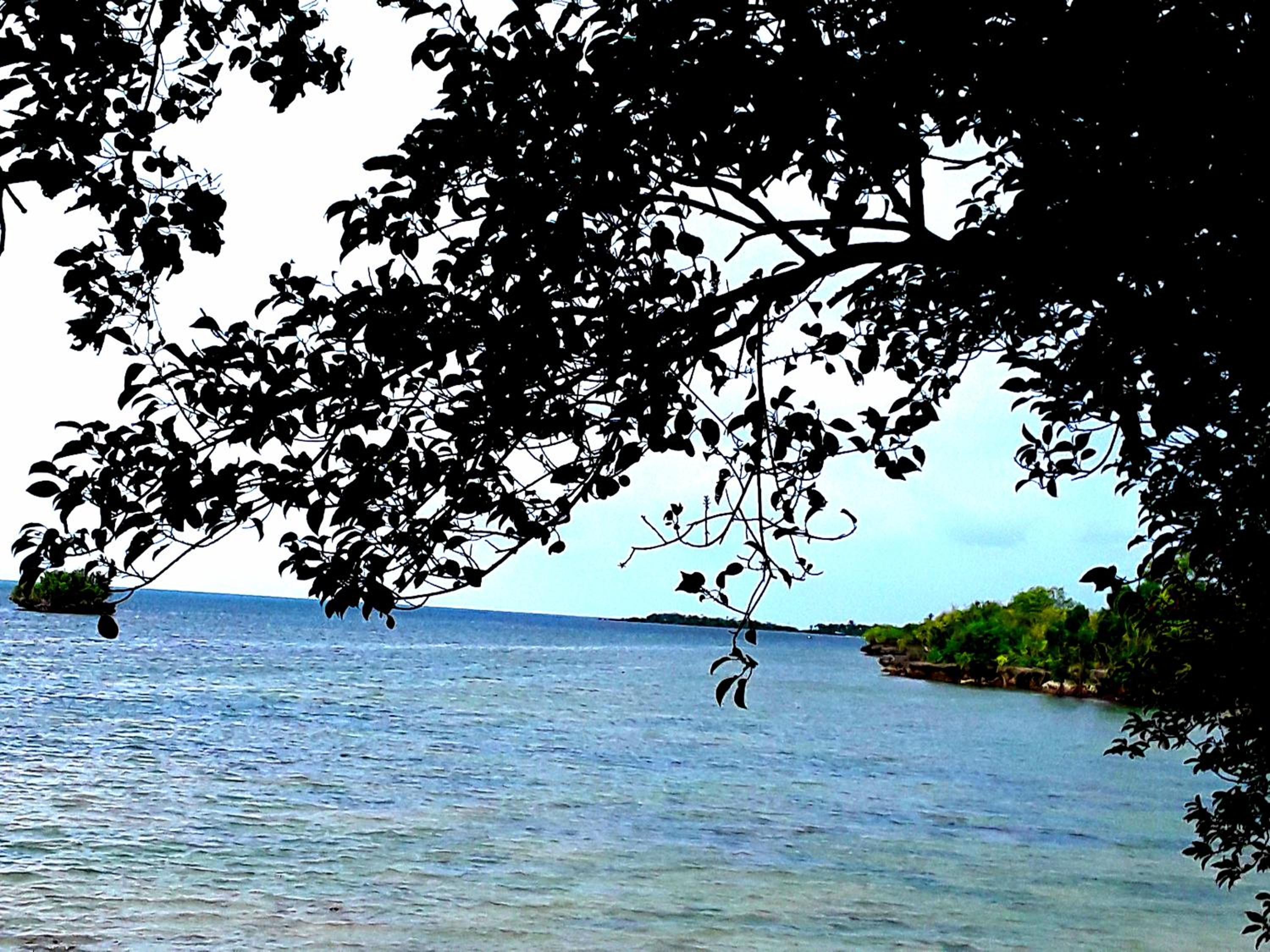 Adayo Cove Resort