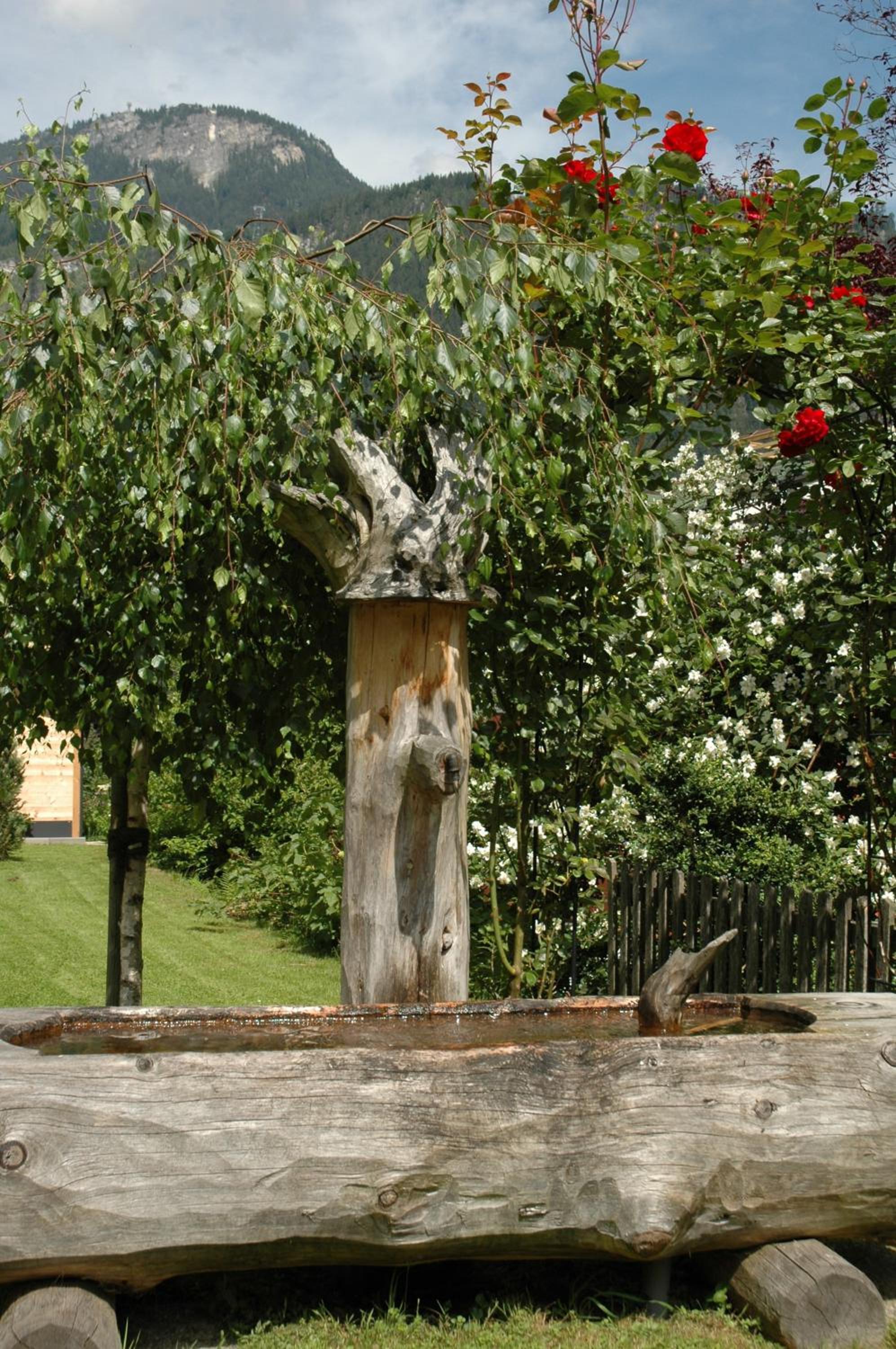 Ferienwohnungen Fichtenheim