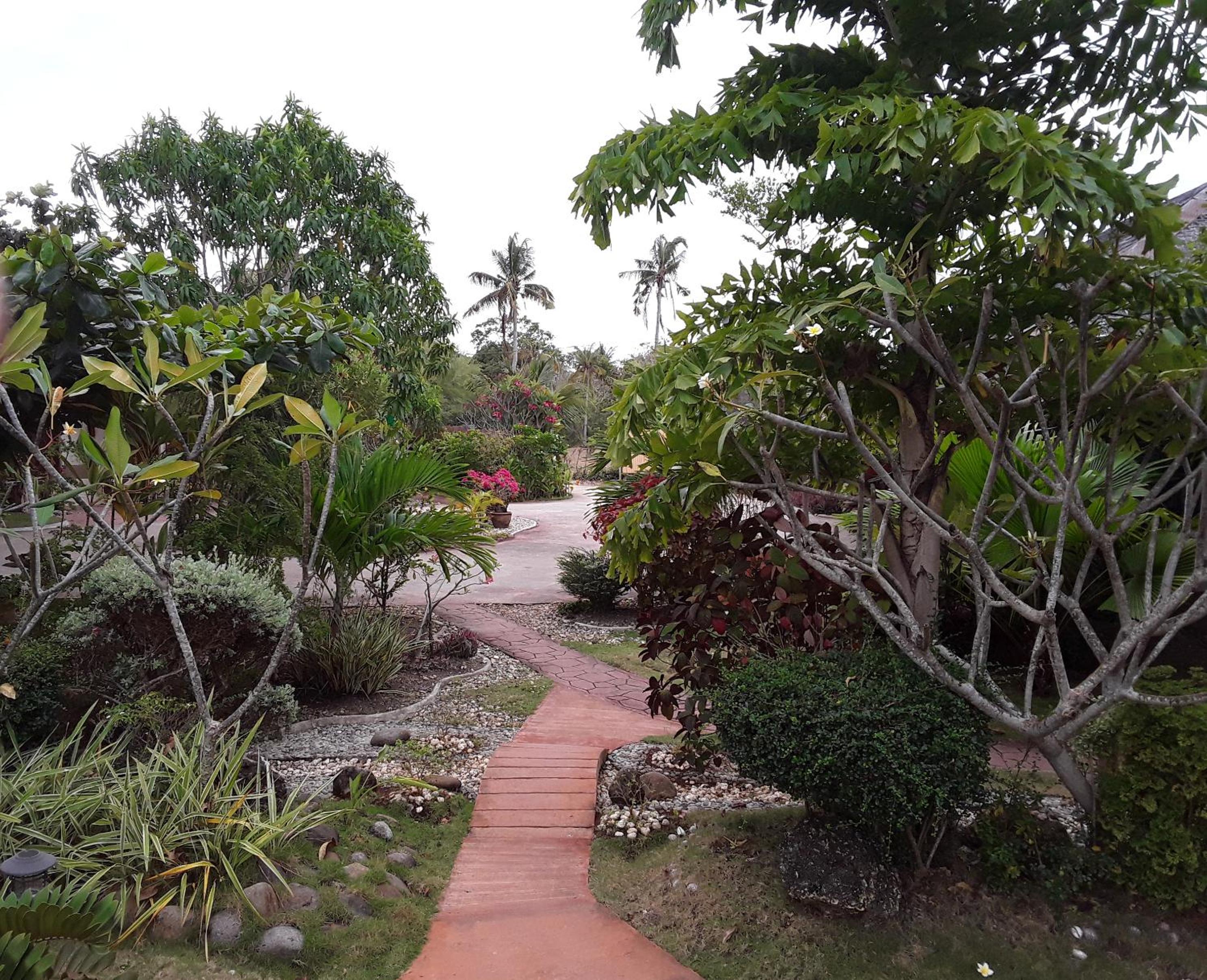 Adayo Cove Resort