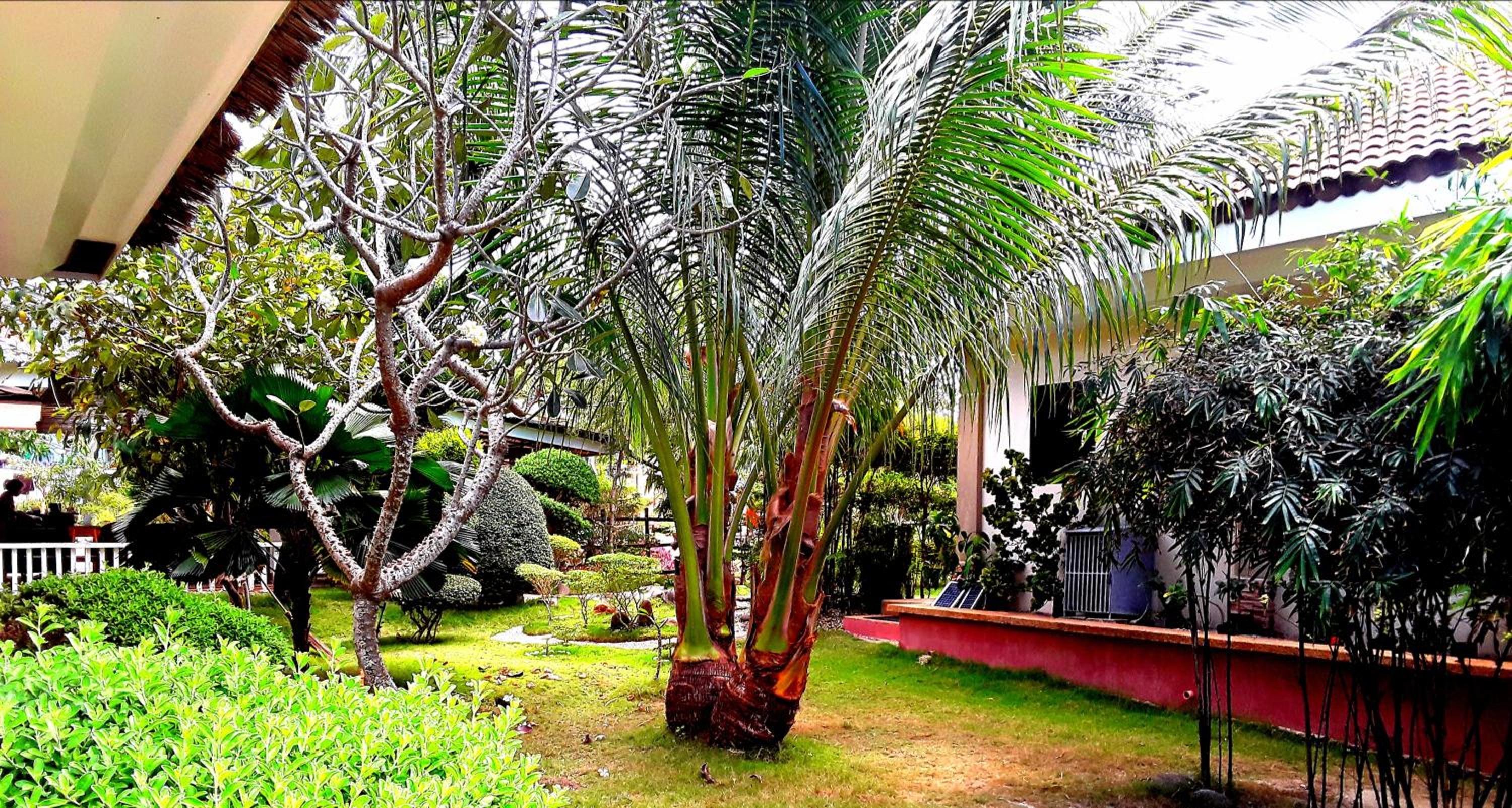 Adayo Cove Resort