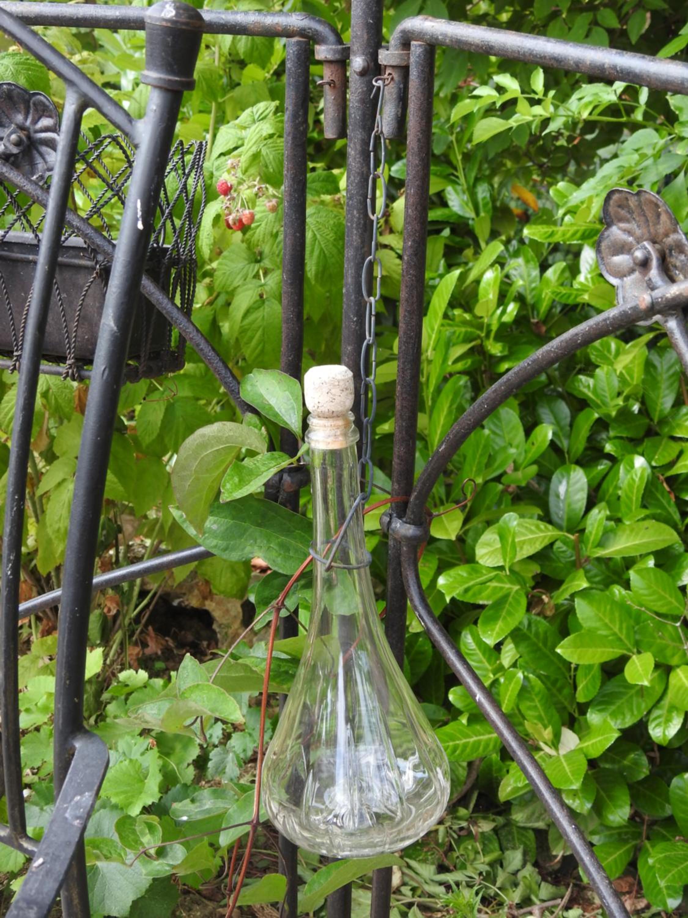 Au Coeur Des Vignes