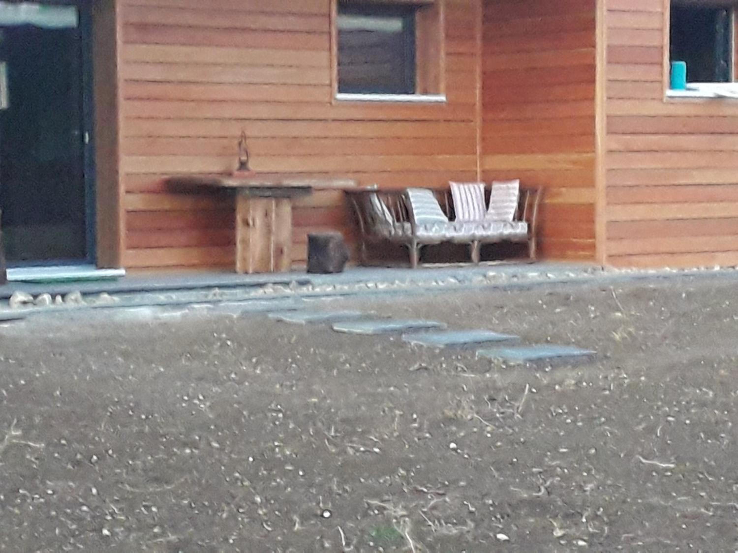 Photo 10