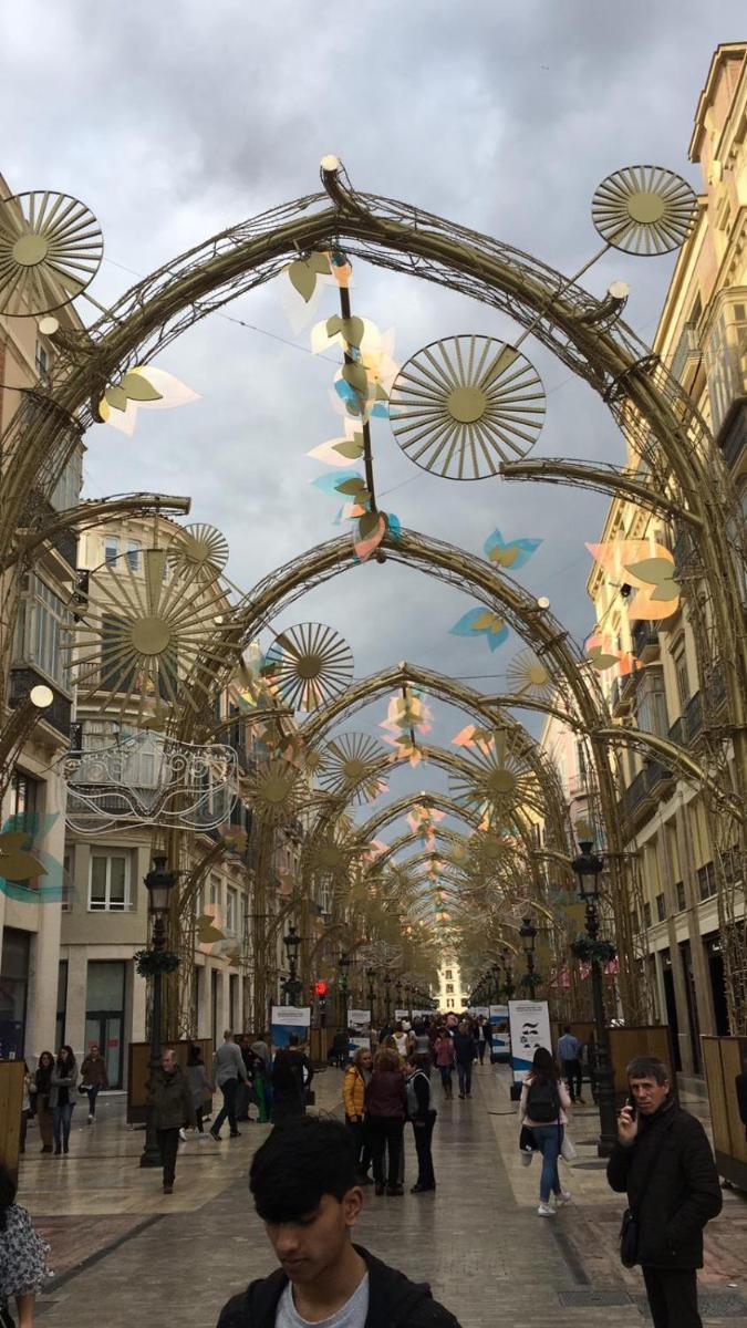 Apartamento en el centro a 3 minutos de calle Larios Apartment in the city center, 3 minutes from Larios Street