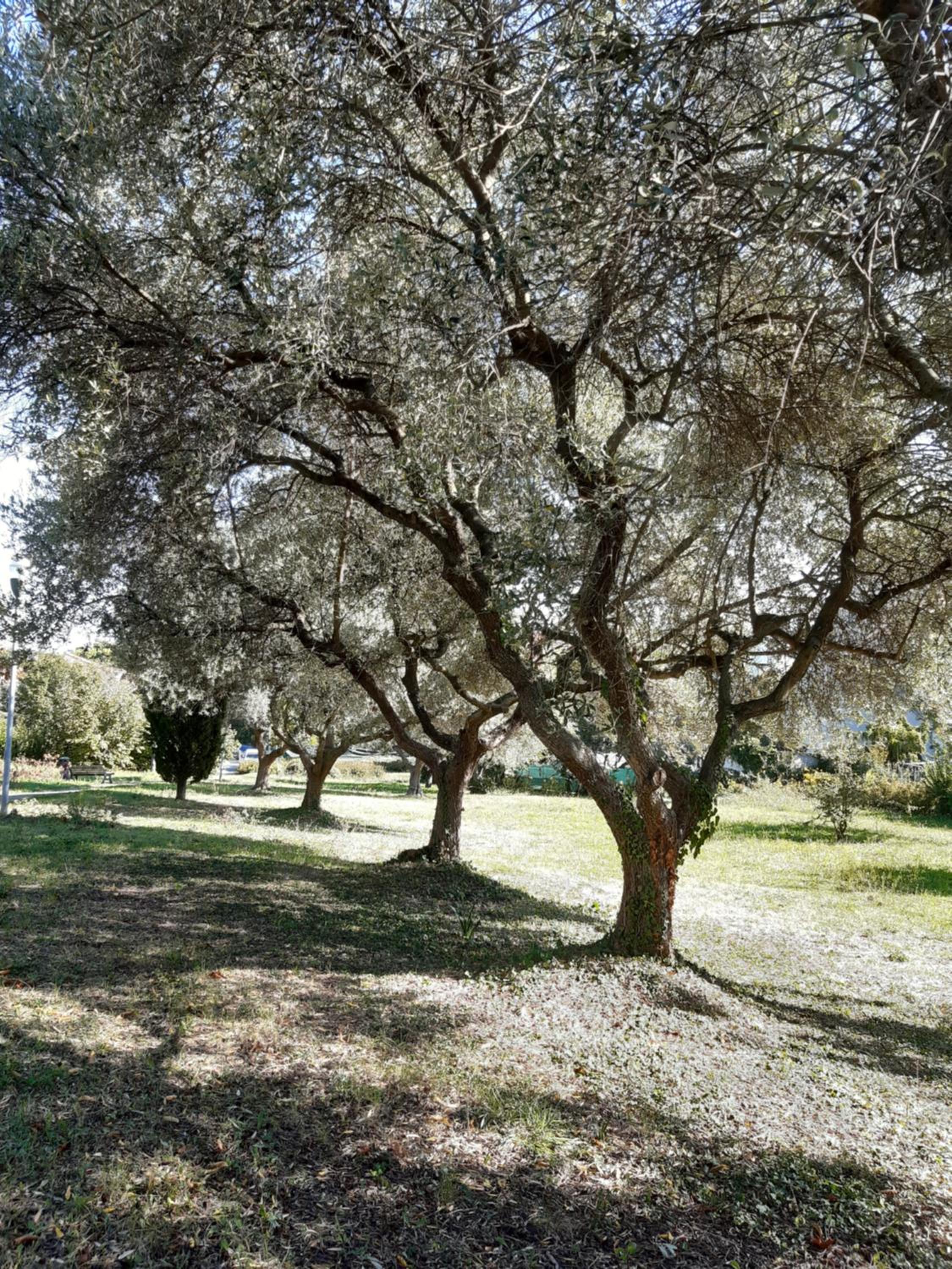 Photo 26