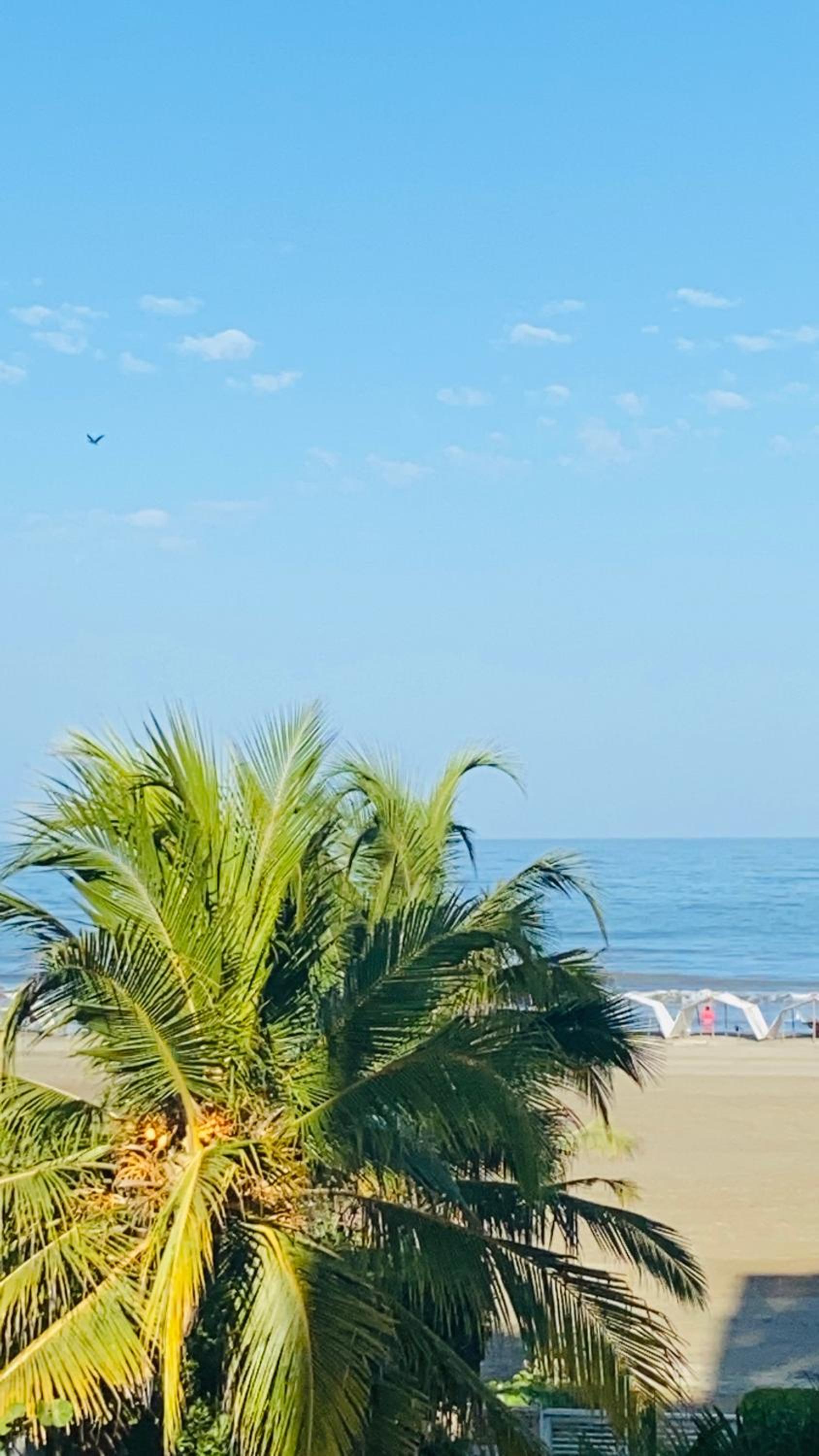 MORROS paradise beach