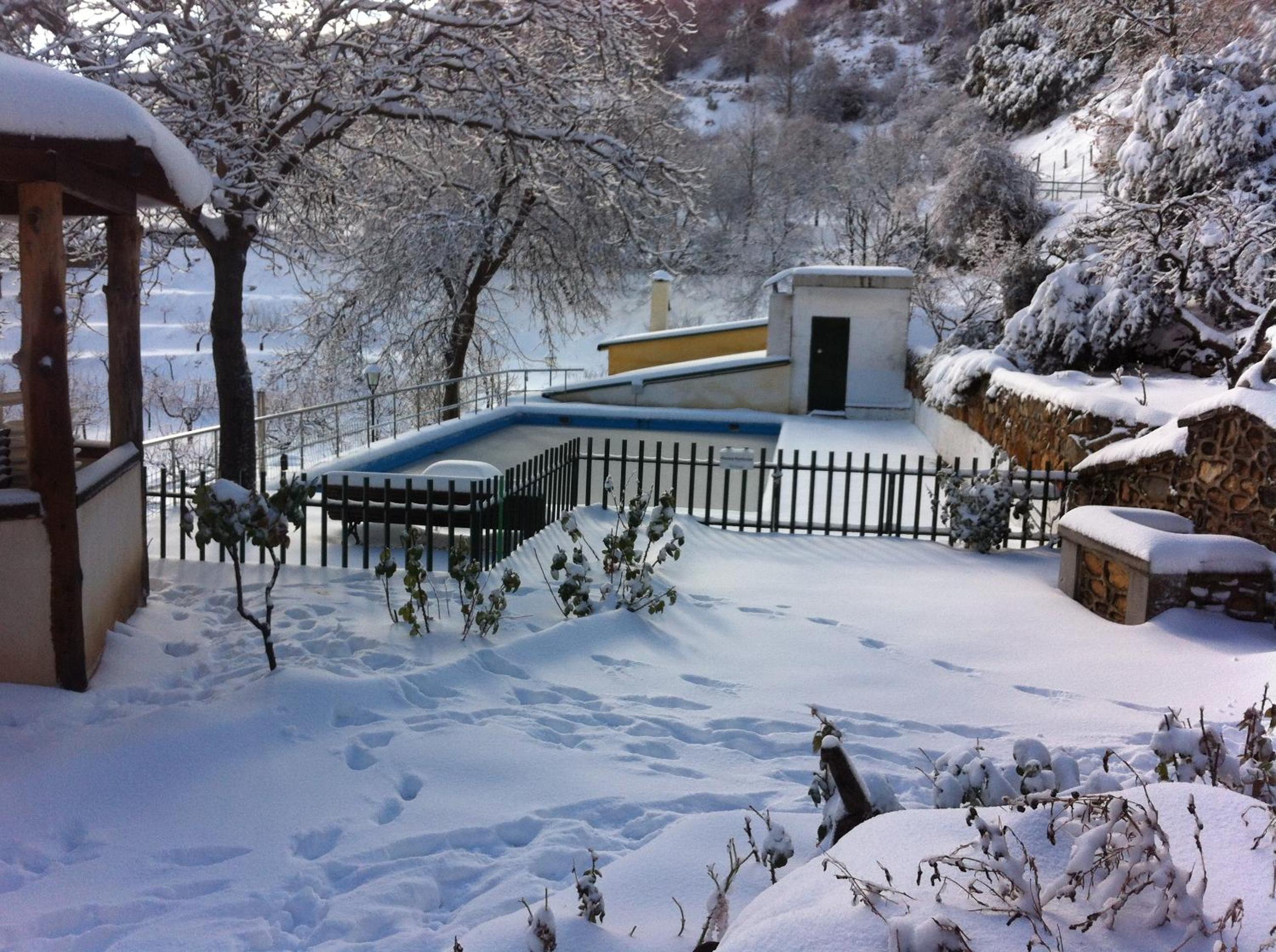 Photo 46