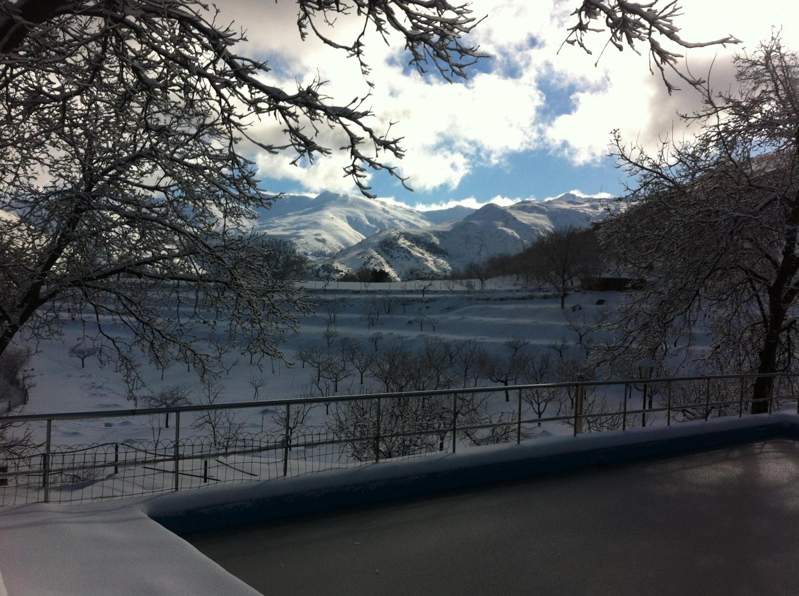 Photo 48