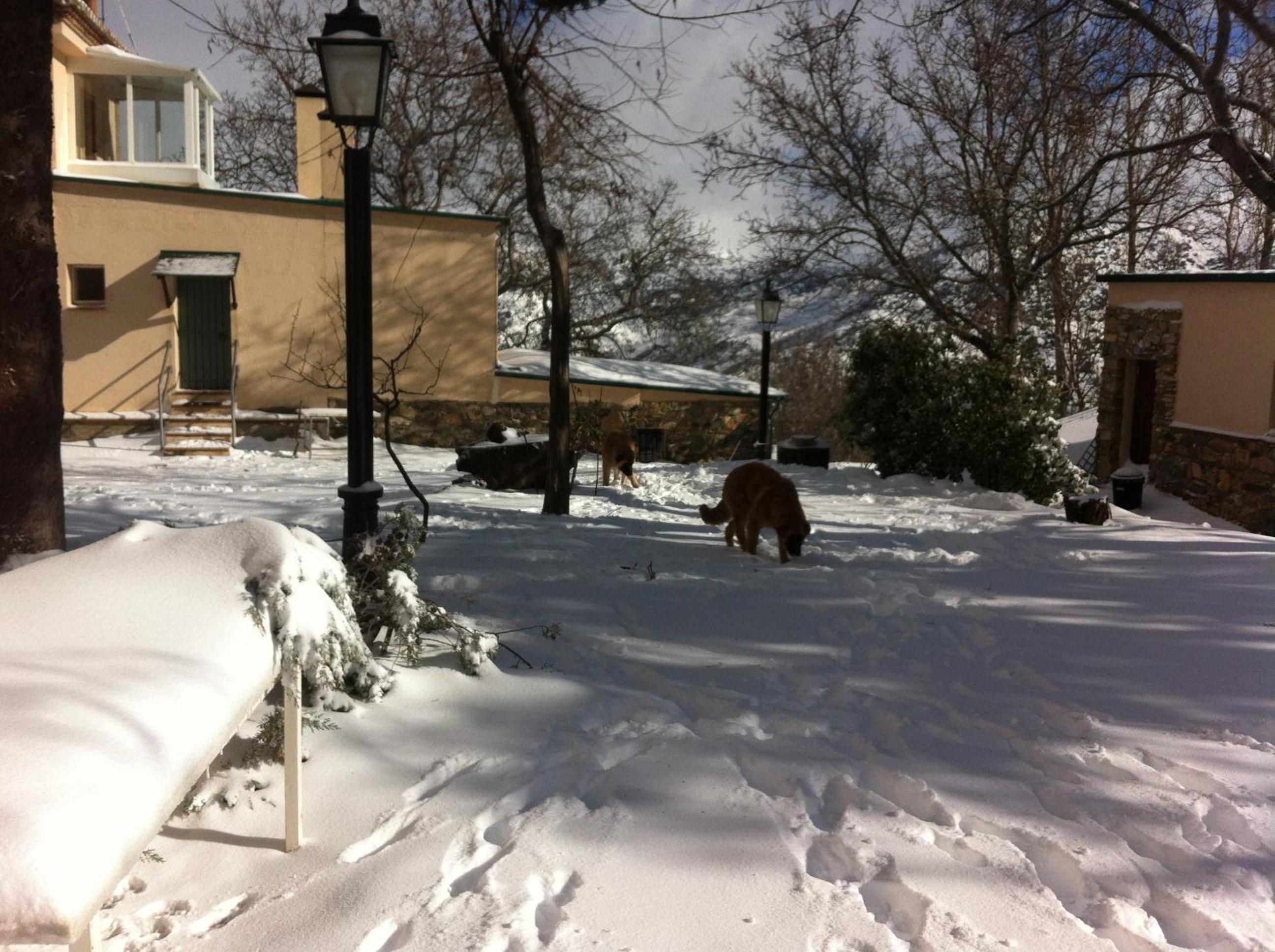 Photo 49