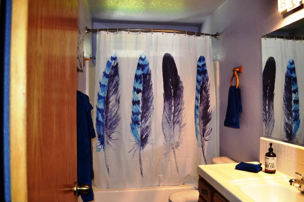 Blue Jay Paradise