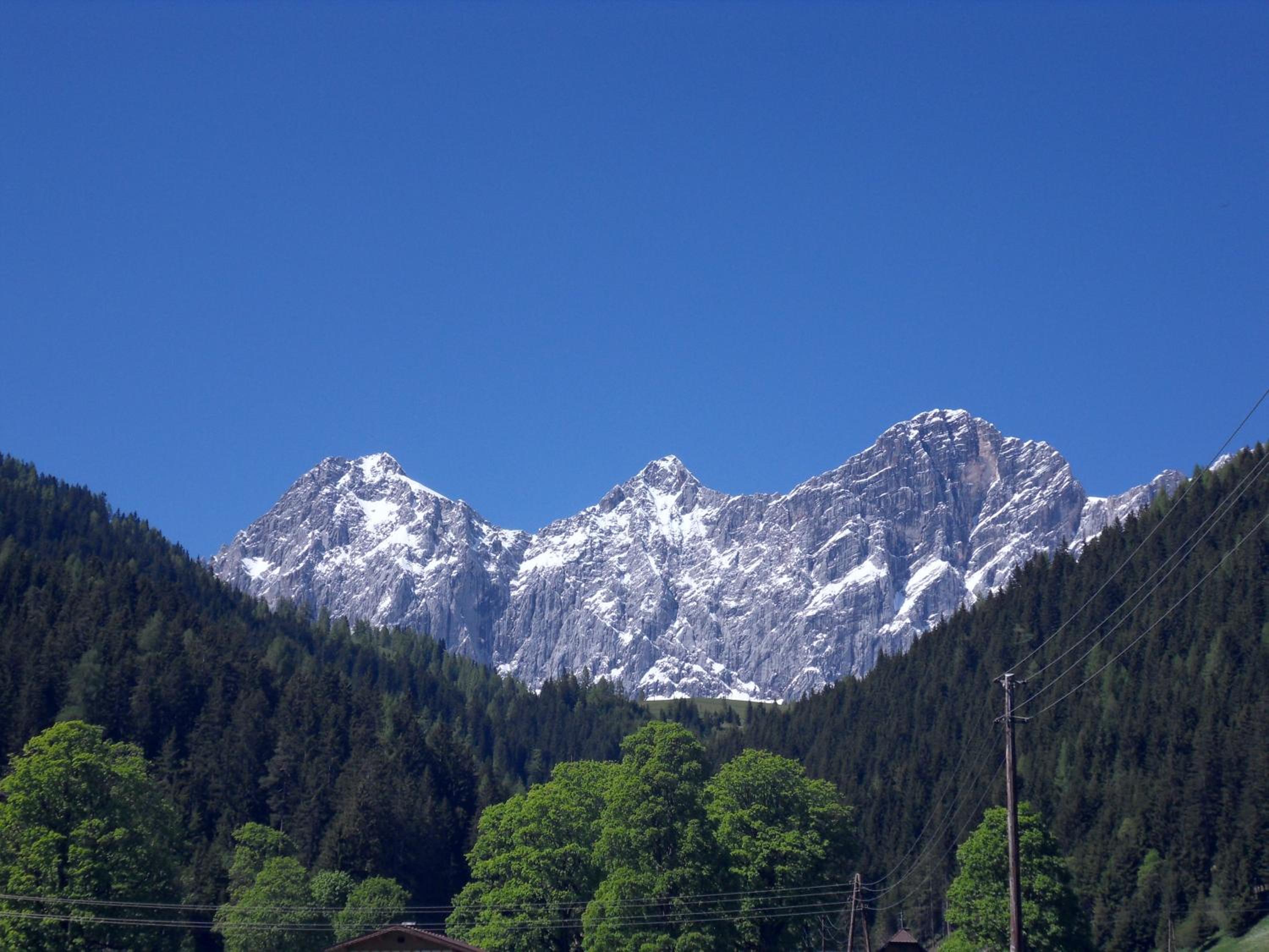 Photo 44