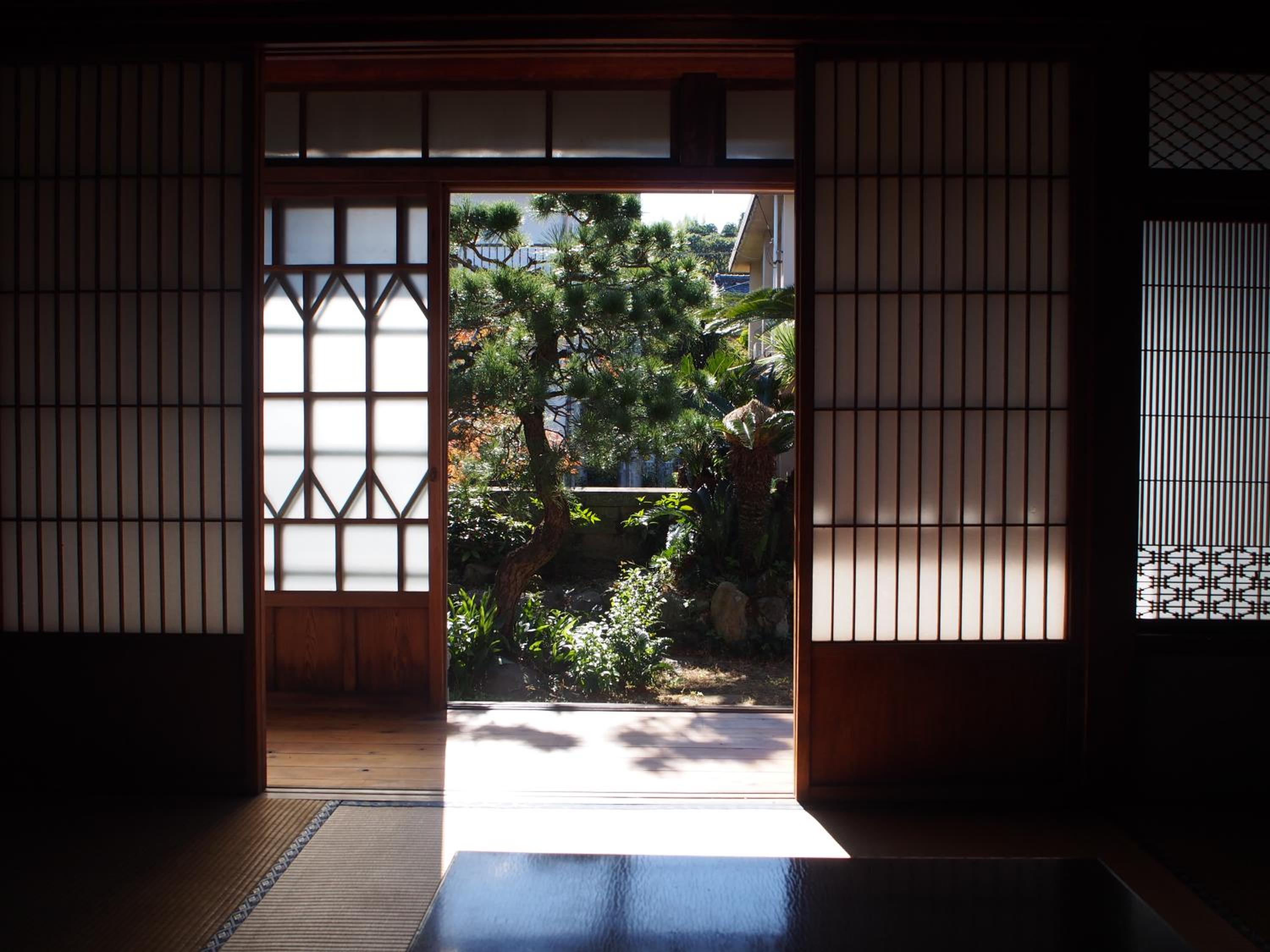 Photo 41