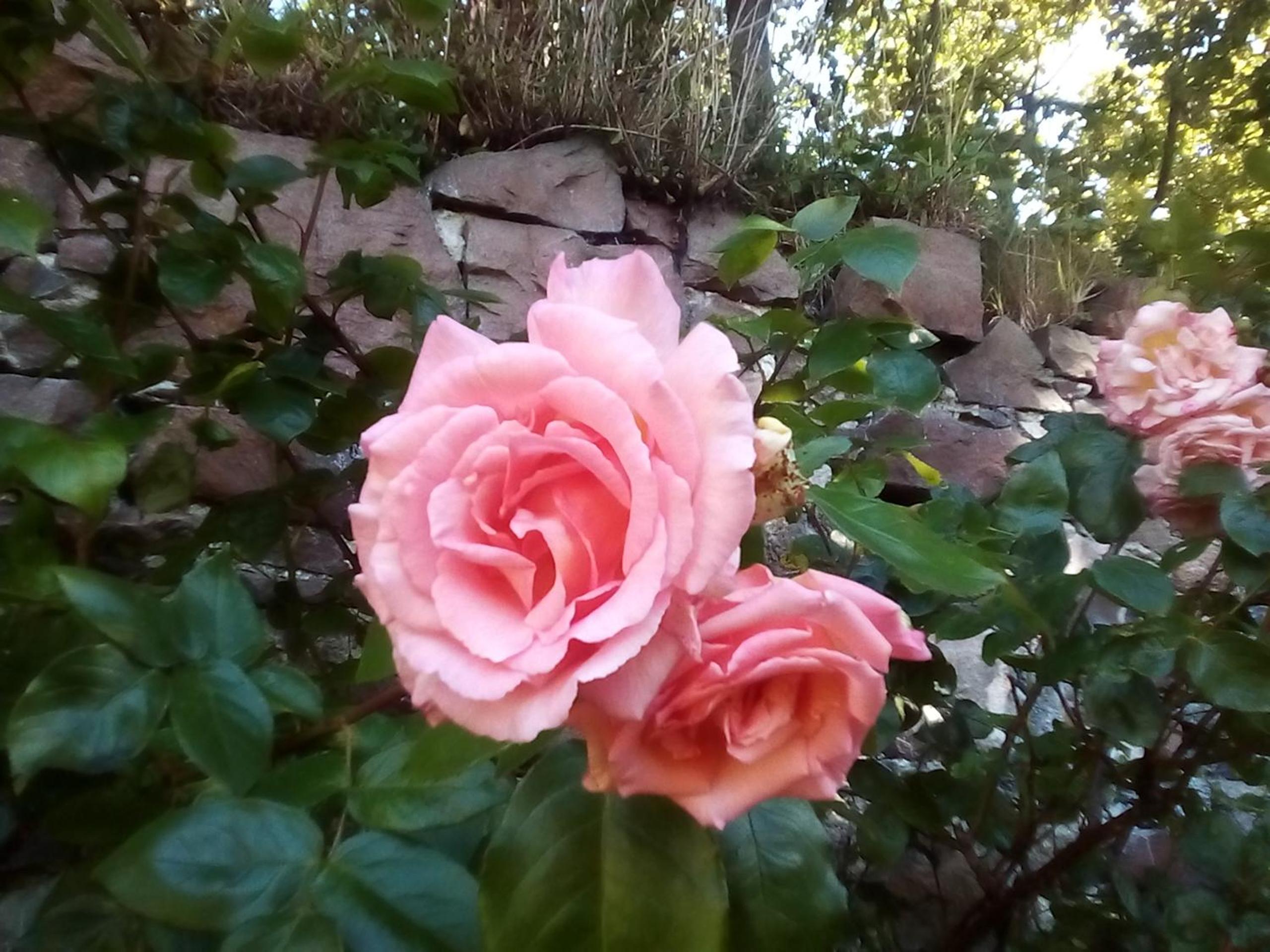 Photo 49