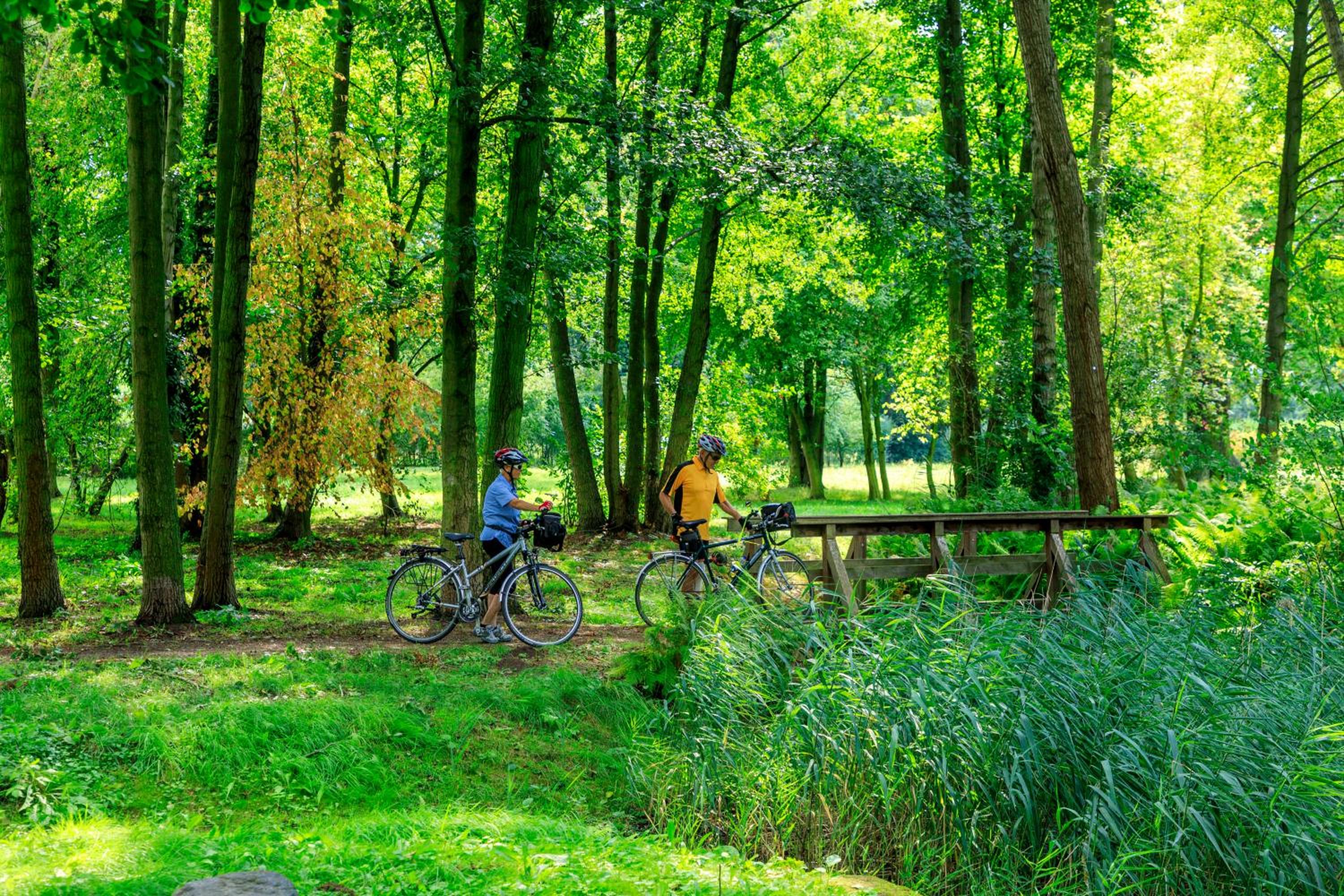 Parkpension Spreewald