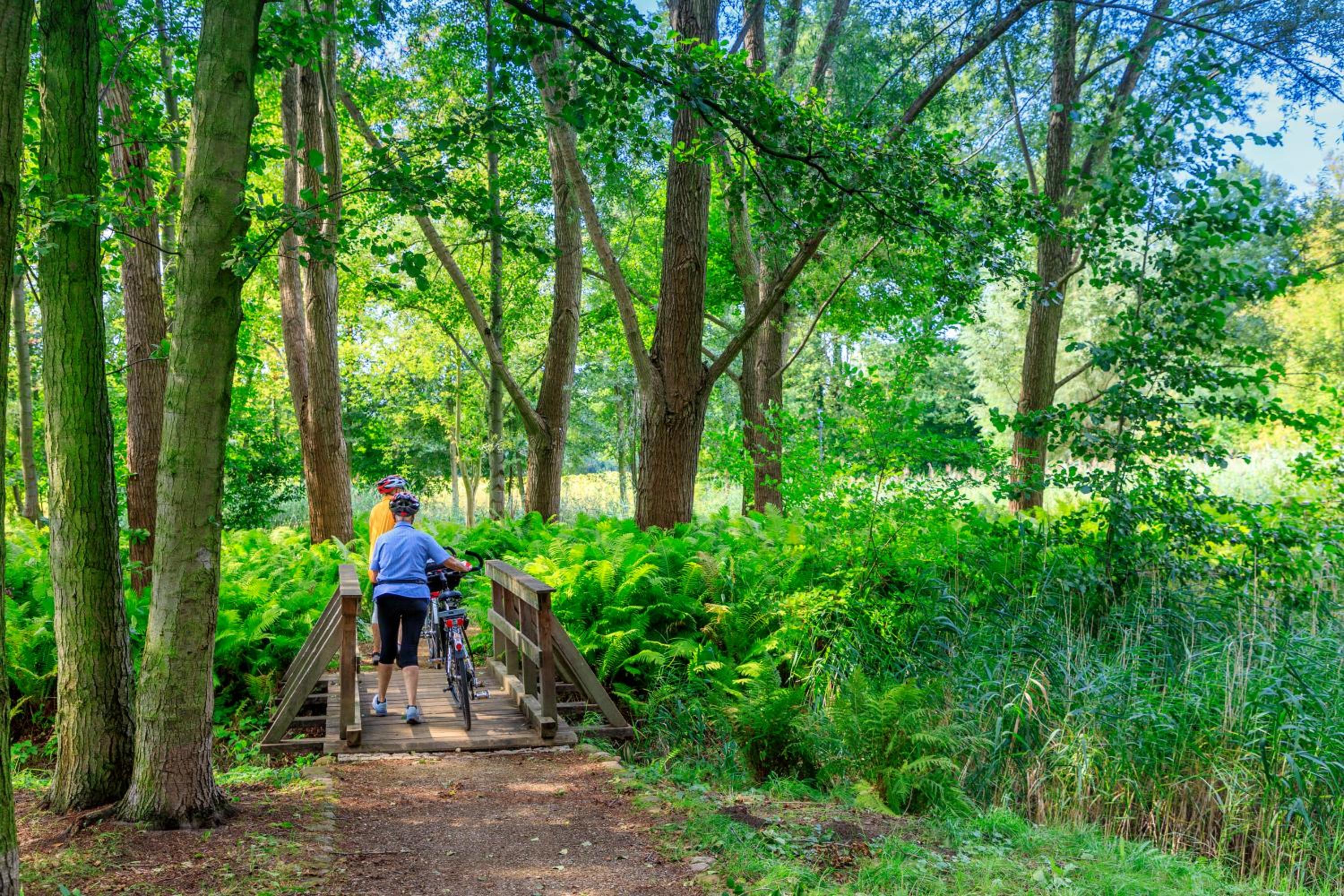Parkpension Spreewald