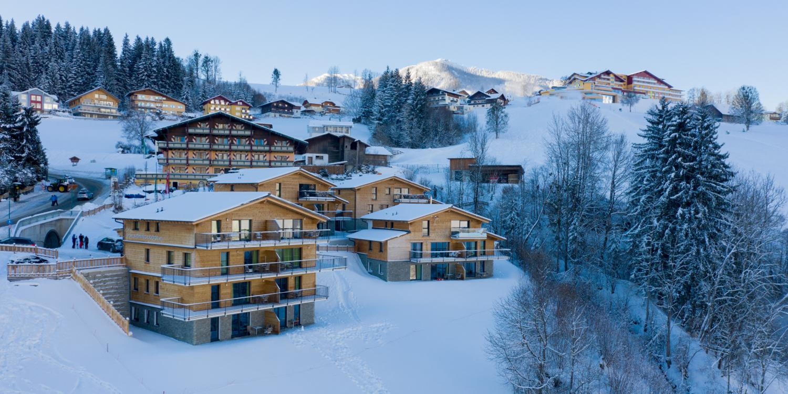 Panorama Lodge Premium Apartments