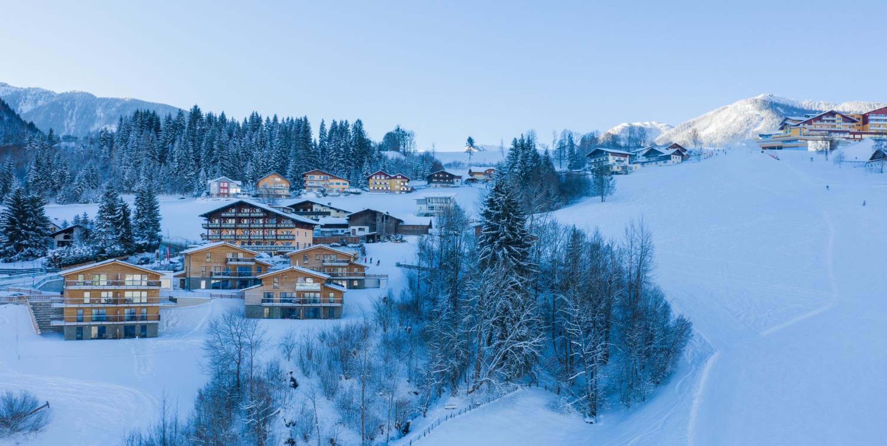 Panorama Lodge Premium Apartments