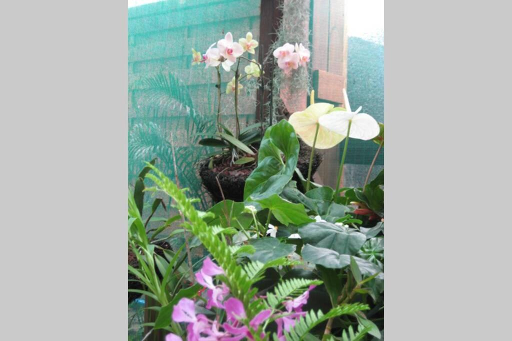 Maison Joss Villa view 2