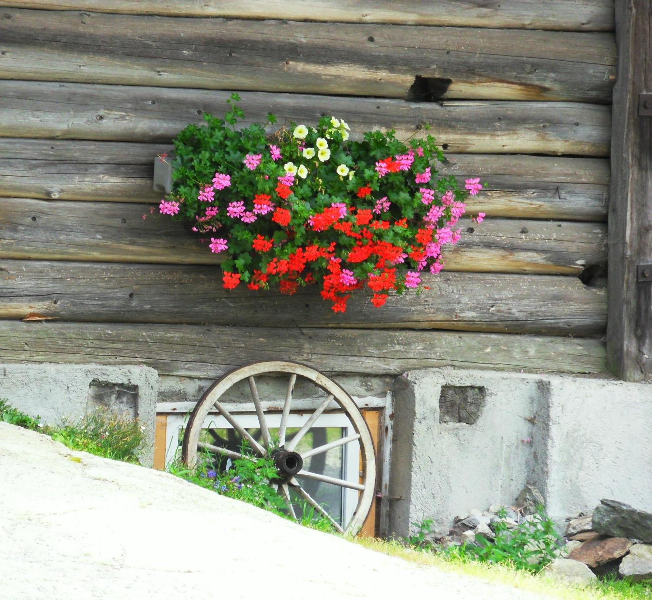Photo 24