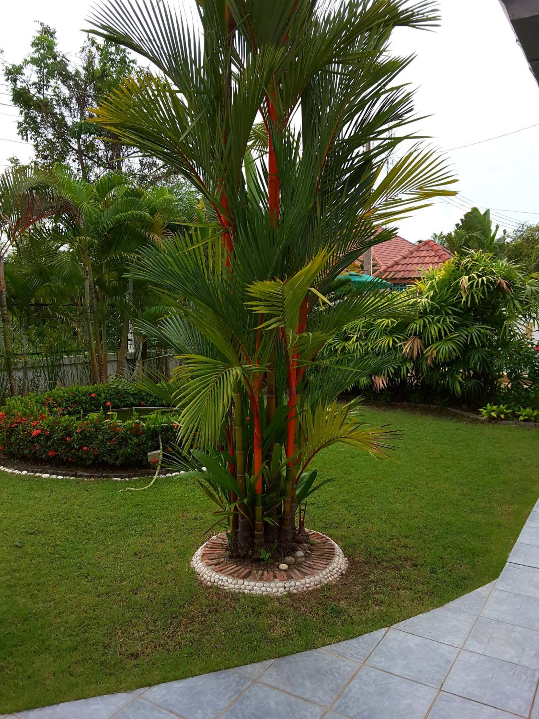 Little Paradise view 5