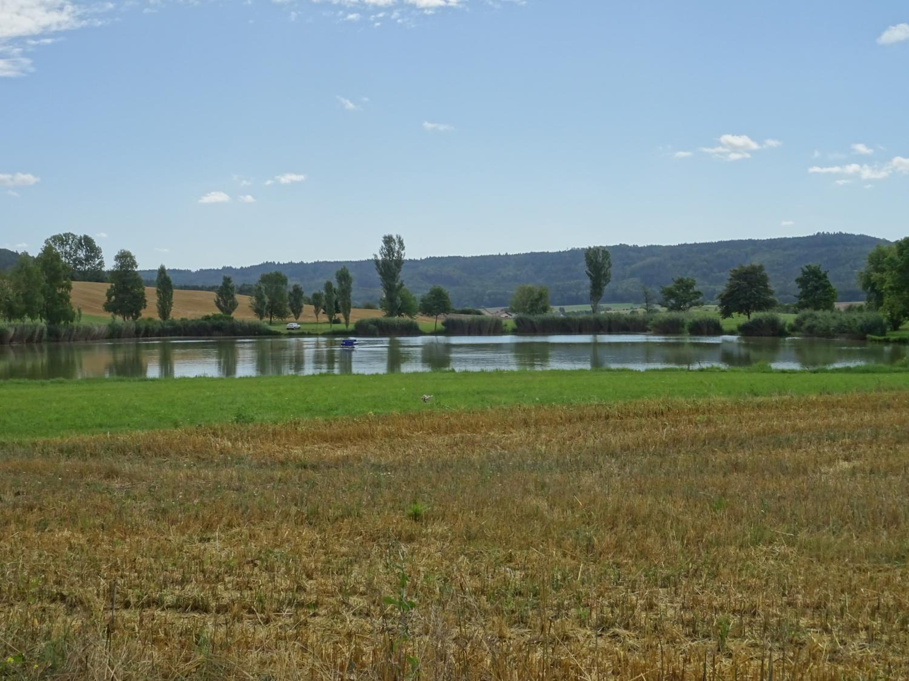 Photo 20