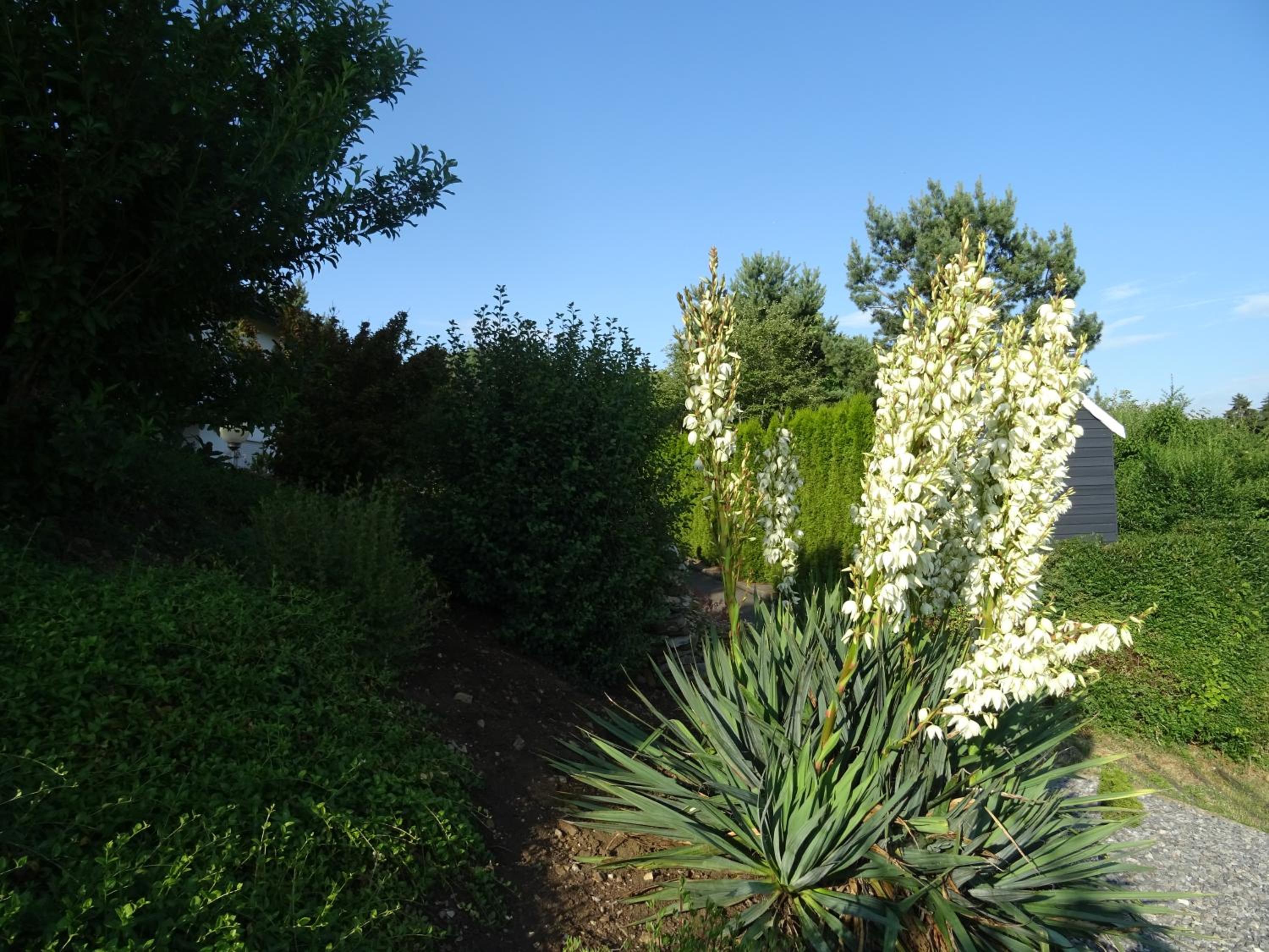Turm im Blick view 2