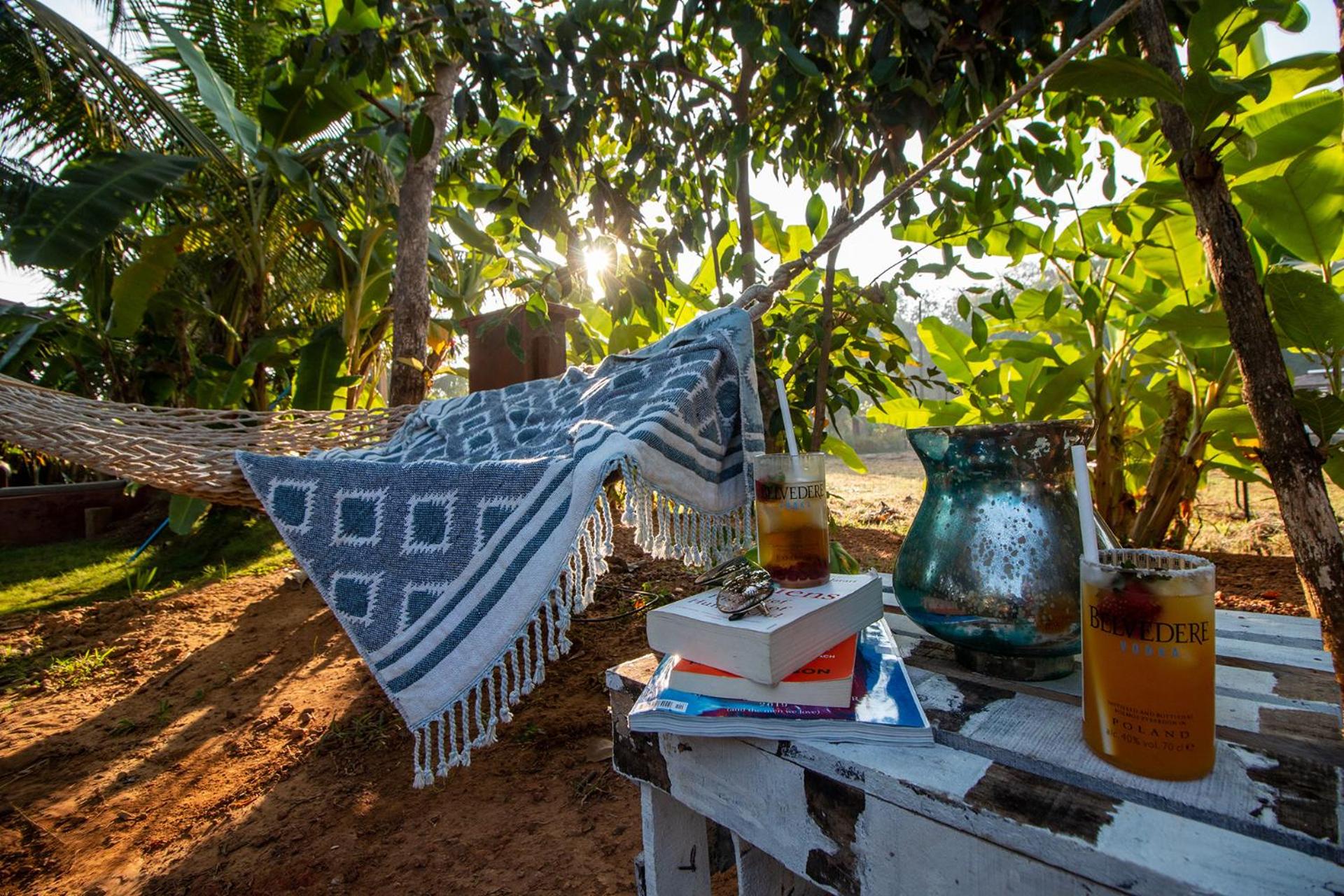 The Hammock Goa view 4