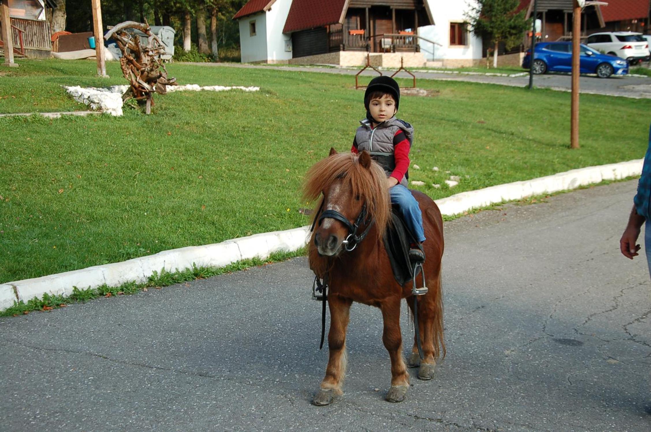 Photo 48