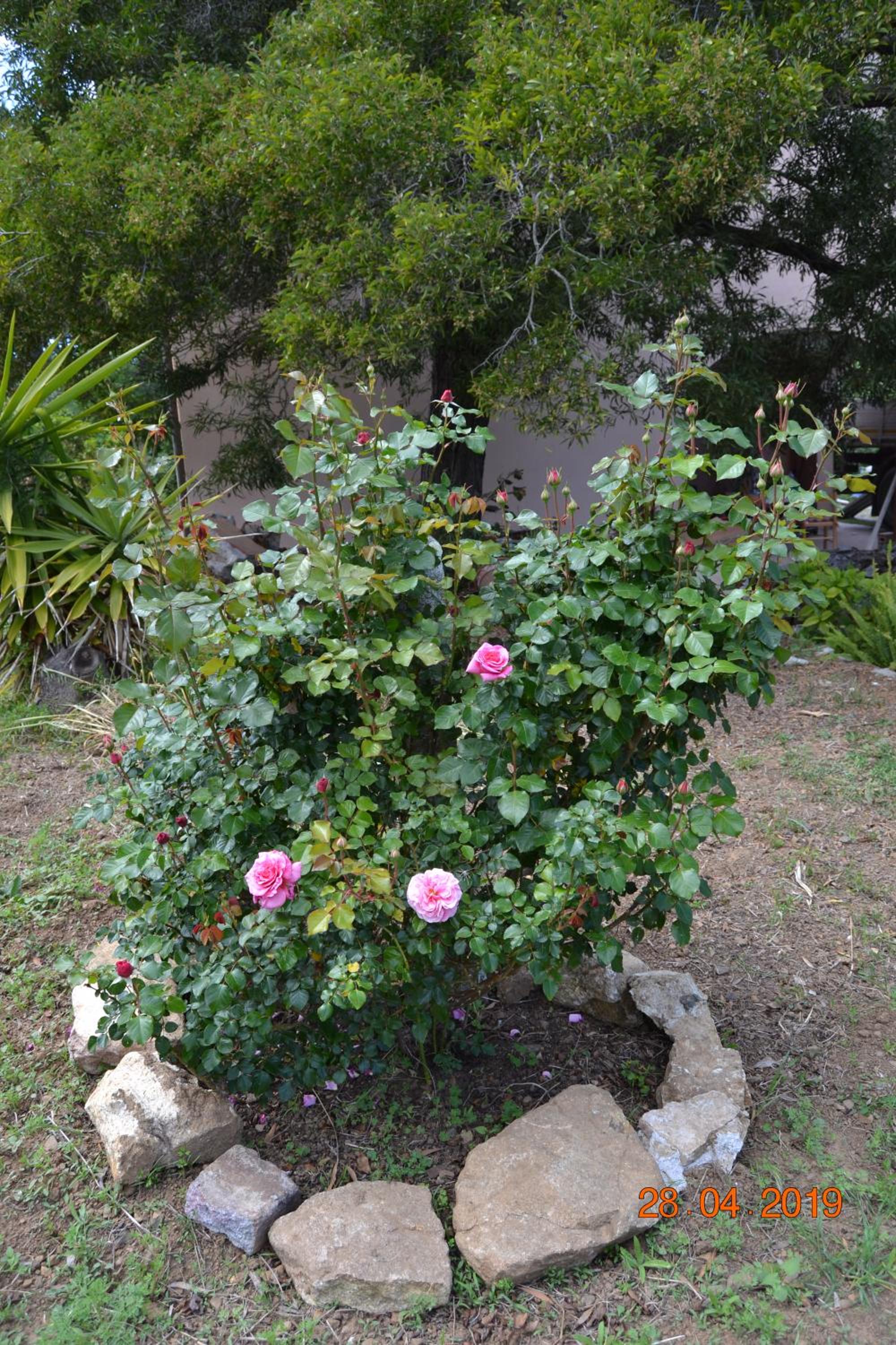 Photo 16