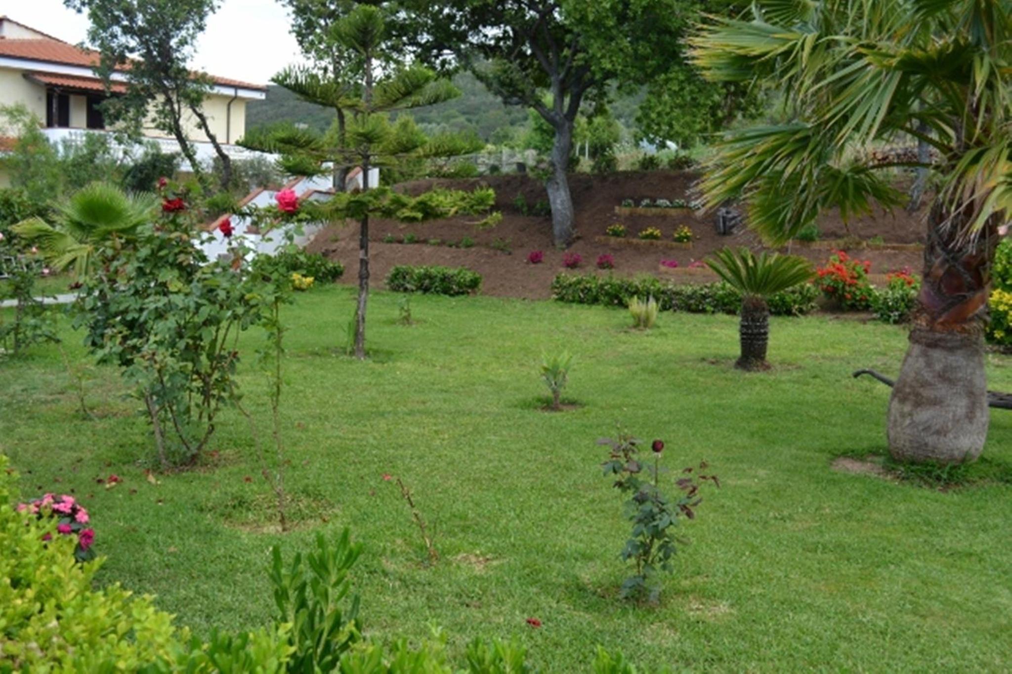 Photo 33