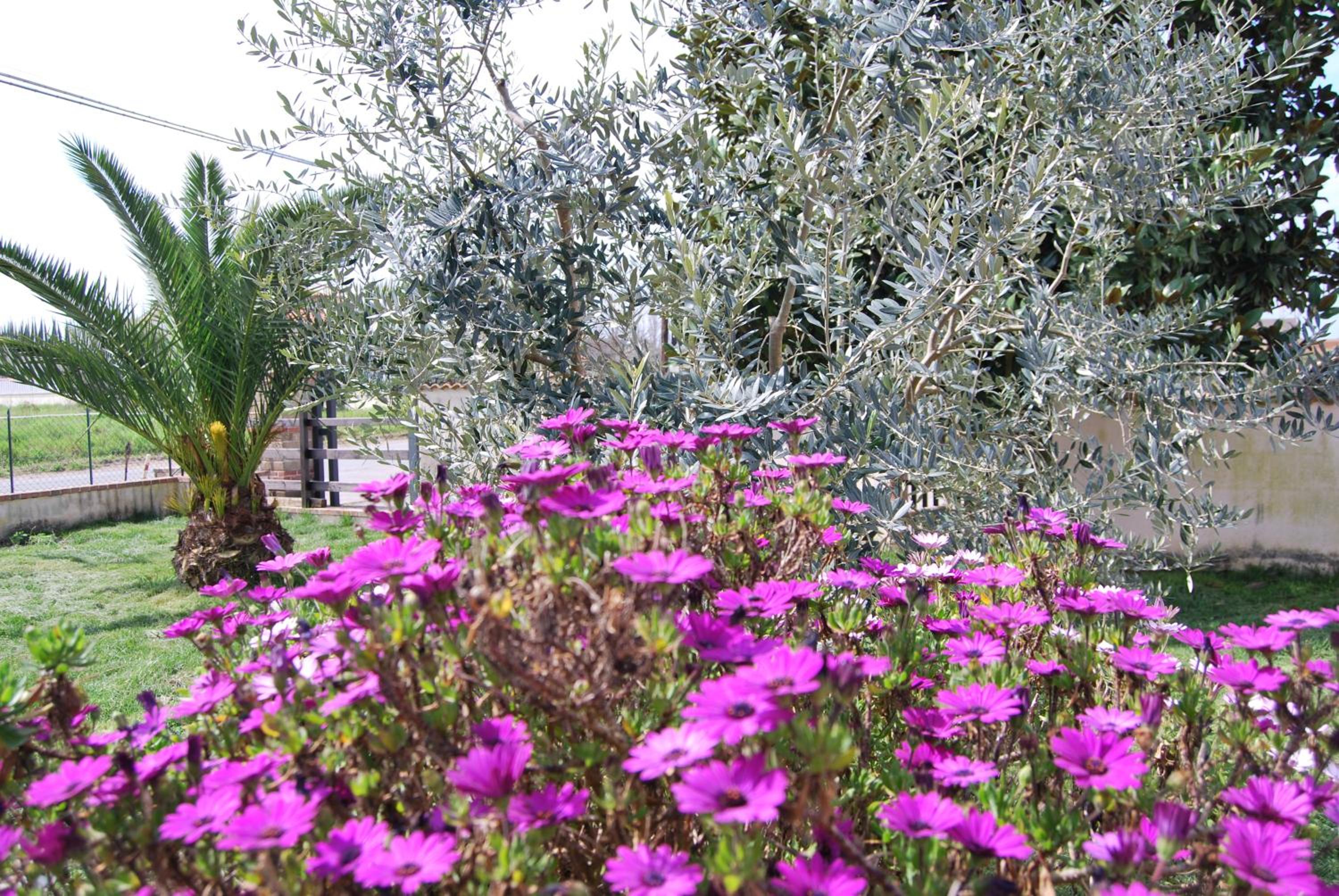 Agriturismo Torre Cristina view 5