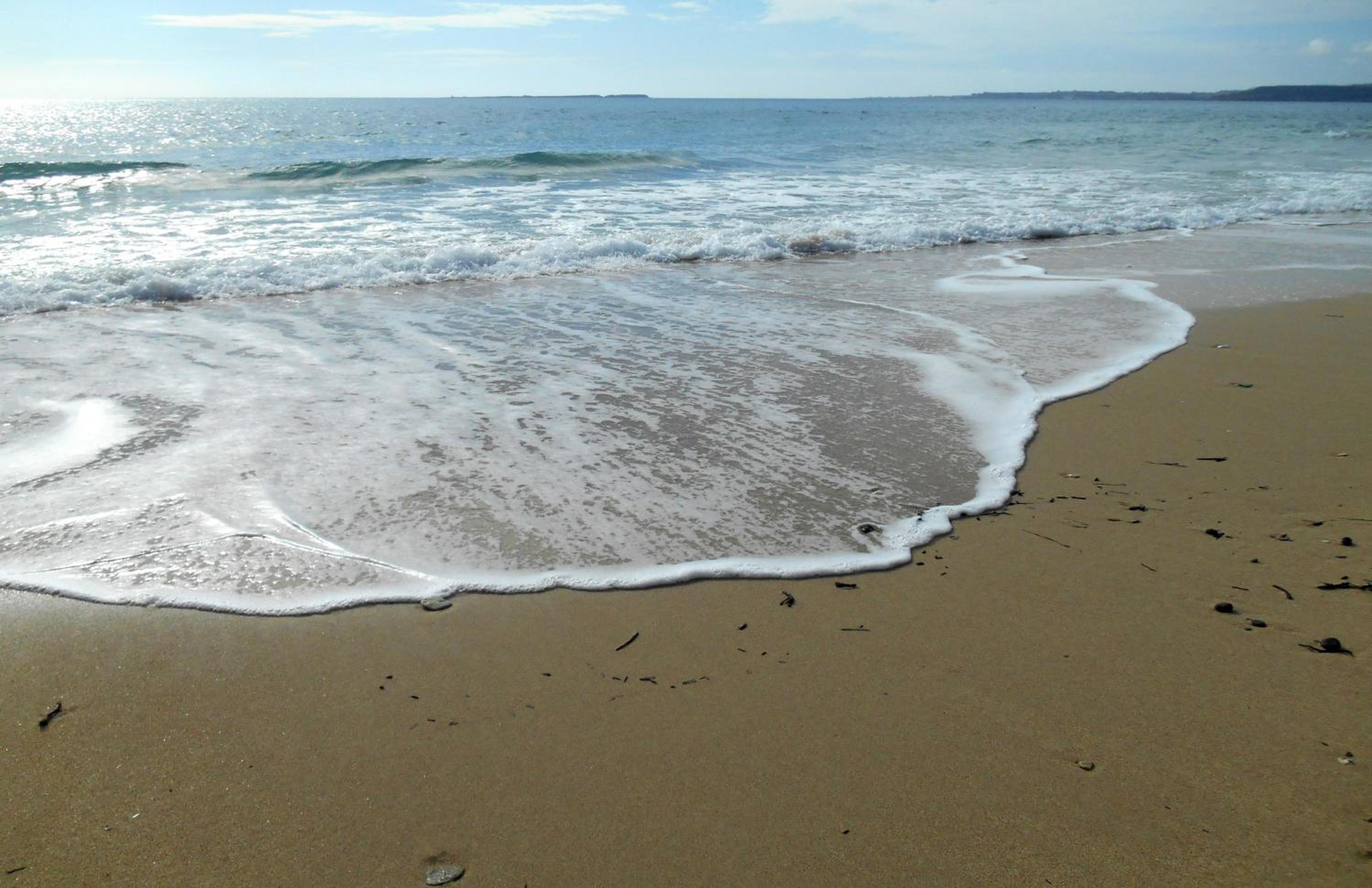 Photo 49