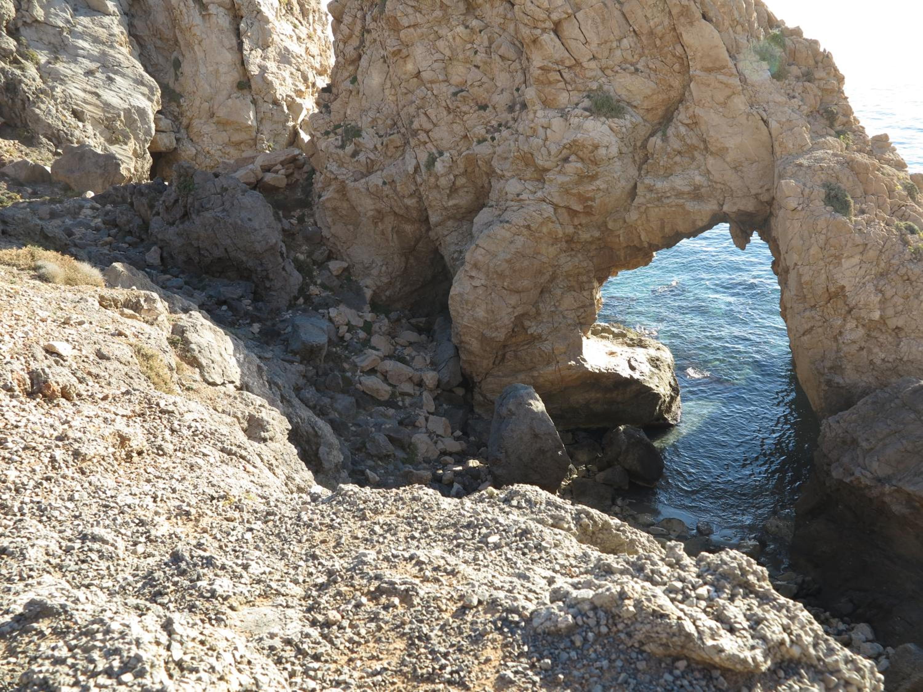 Photo 41