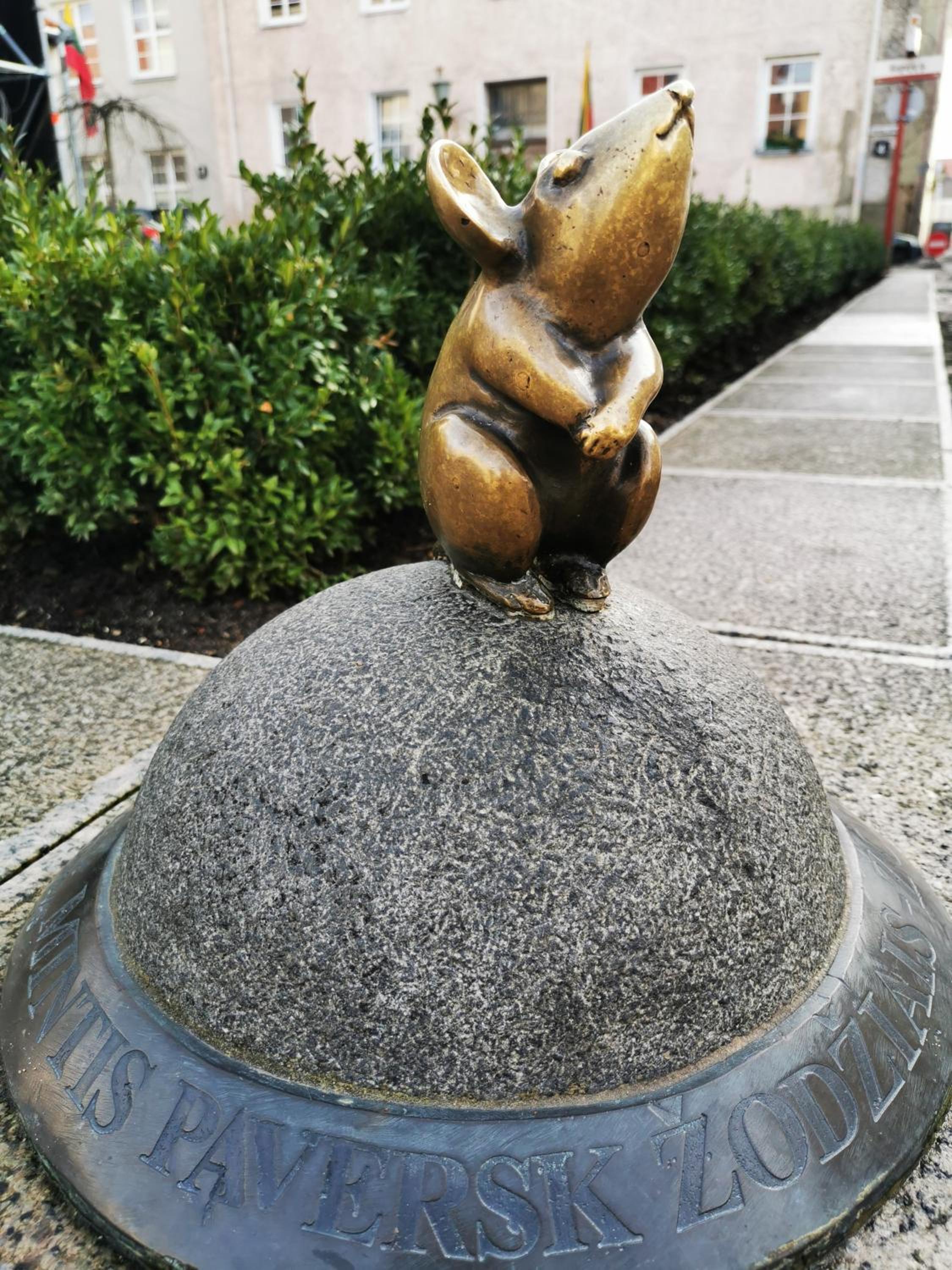 Photo 29