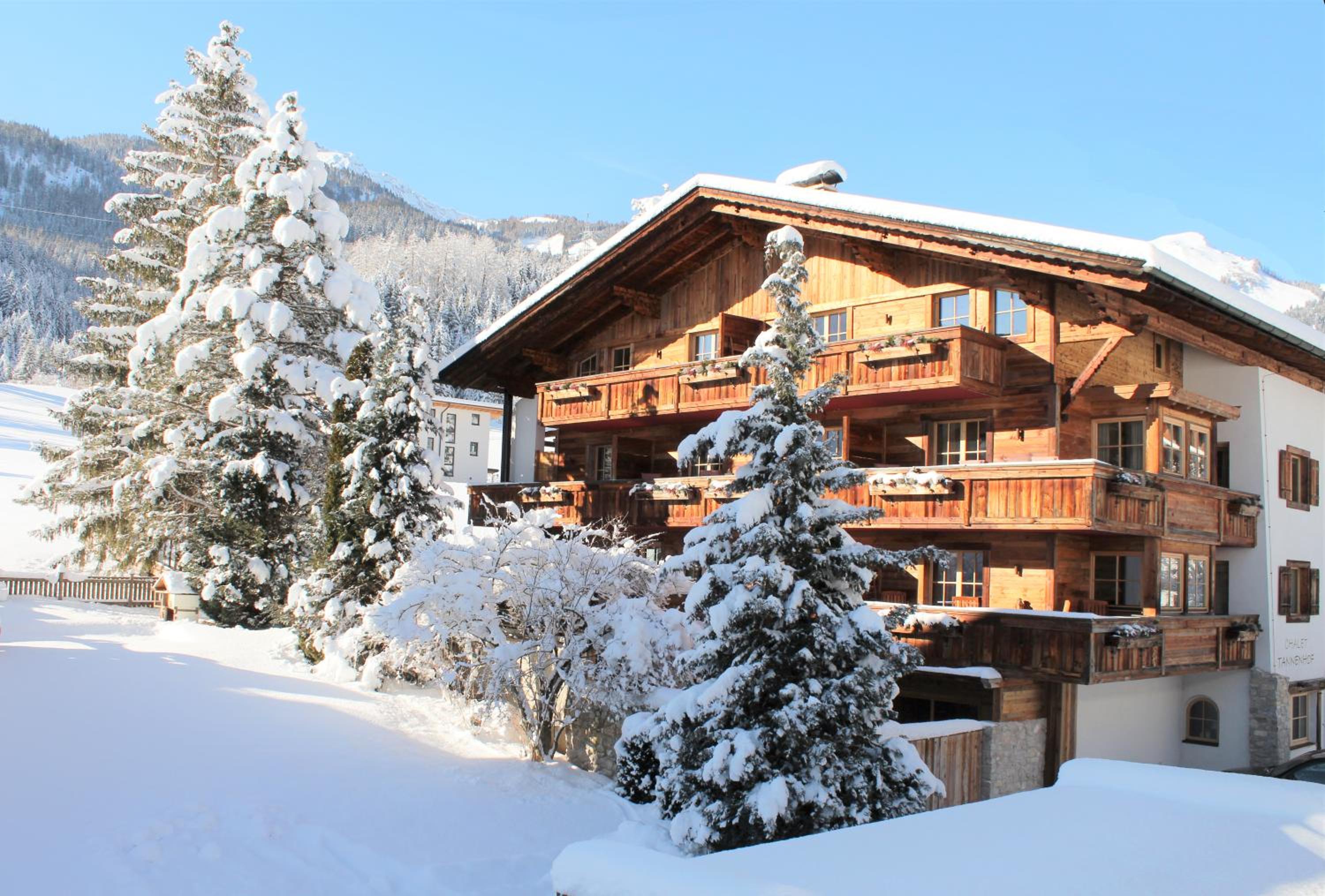 Chalet Tannenhof view 5